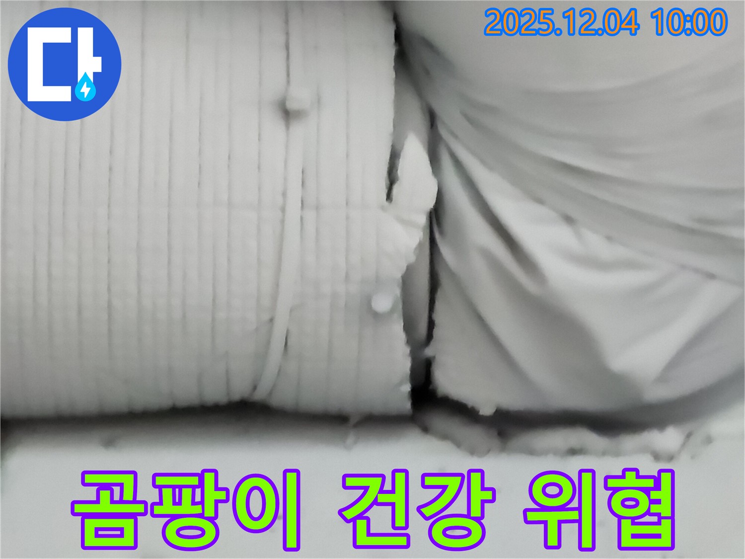 포천시 일동면 유동리 누수 현장 - 보온재 속에 곰팡이가 핀 모습은 누수의 위험 신호이자 우리 집 건강을 위협하는 요소입니다.