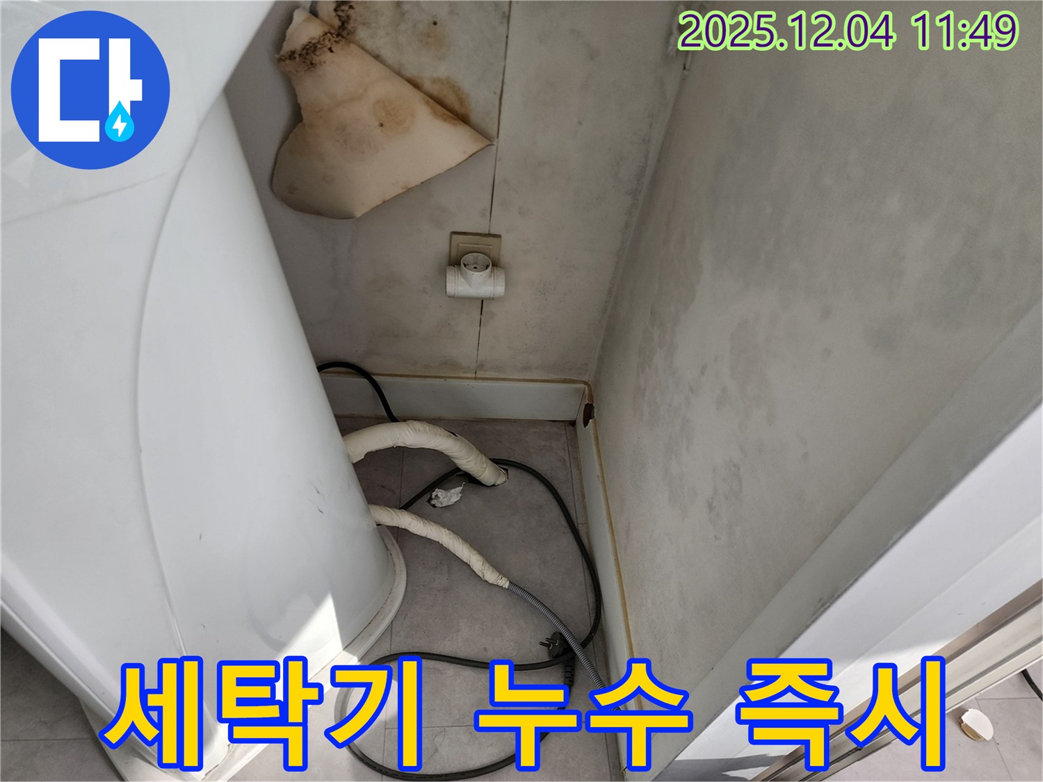일동면 - 세탁기 뒤 젖은 벽, 콘센트 곰팡이 - 감전사고 위험, 지금 바로 점검