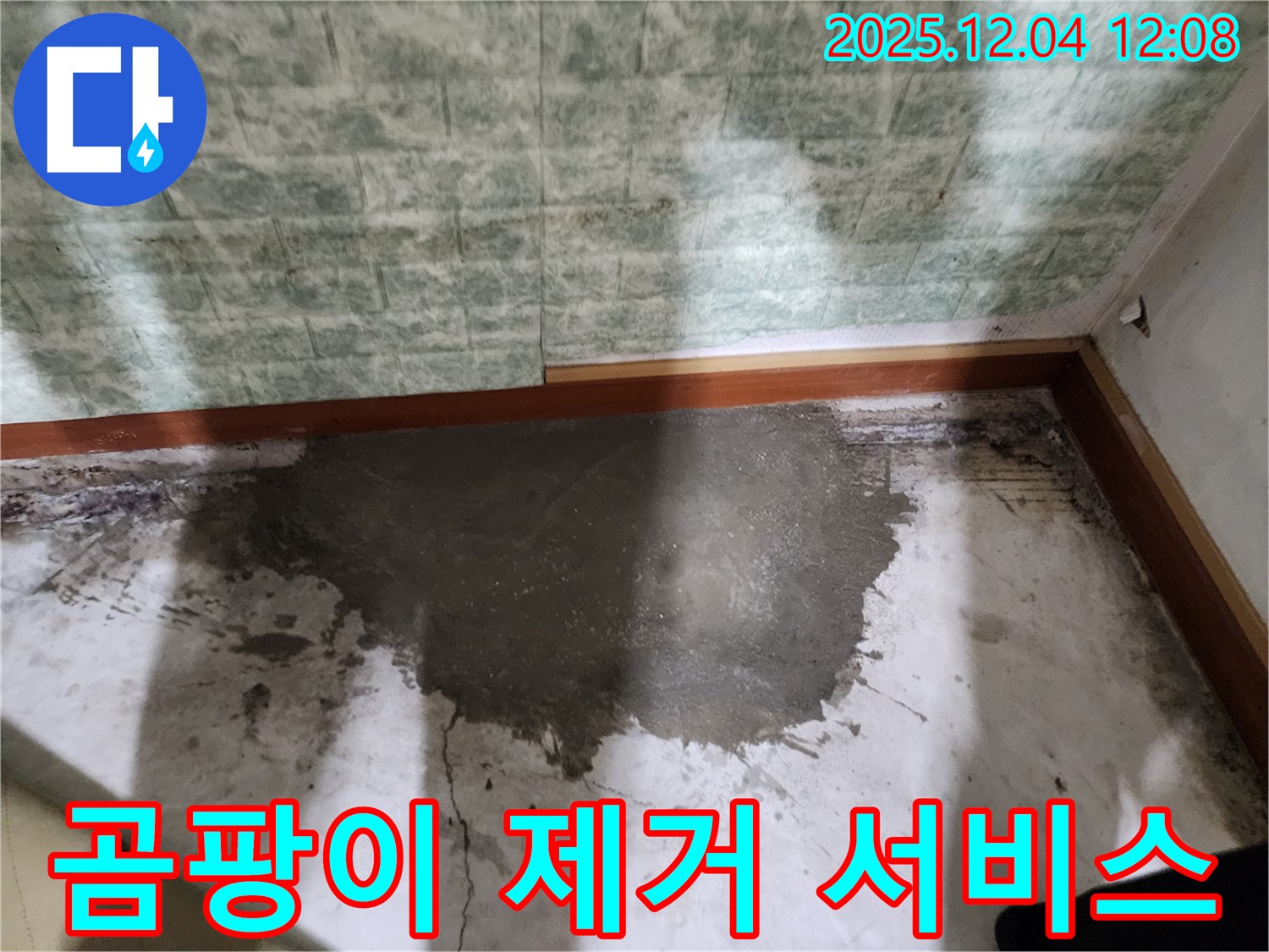 포천시 일동면 기산리 젖은 바닥 누수 - 누수 해결 후 곰팡이 제거 서비스로 쾌적한 환경을 만들어 드립니다.