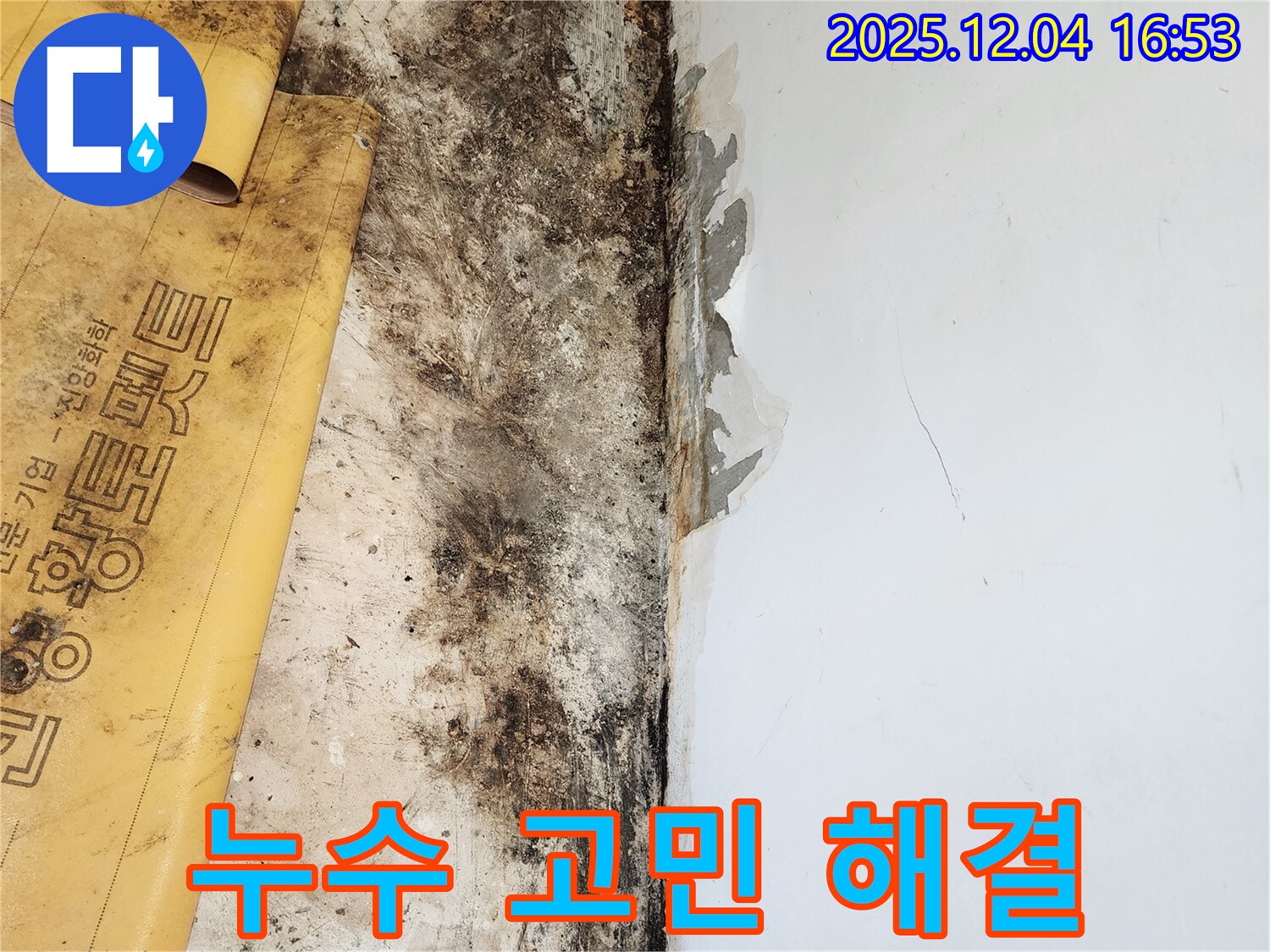 누수, 곰팡이, 벽지 고민 해결 - 완벽한 해결책과 친절한 상담 제공