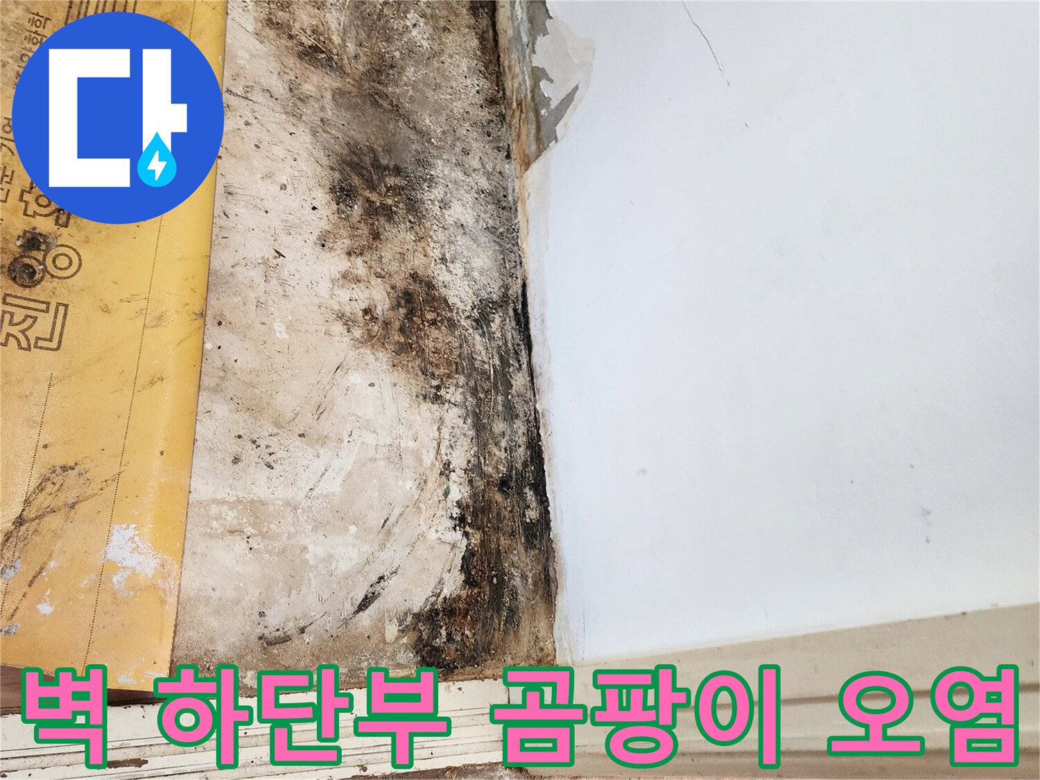 일동면 누수 현장-바닥과 벽면 경계에 발생한 검은 곰팡이와 습기