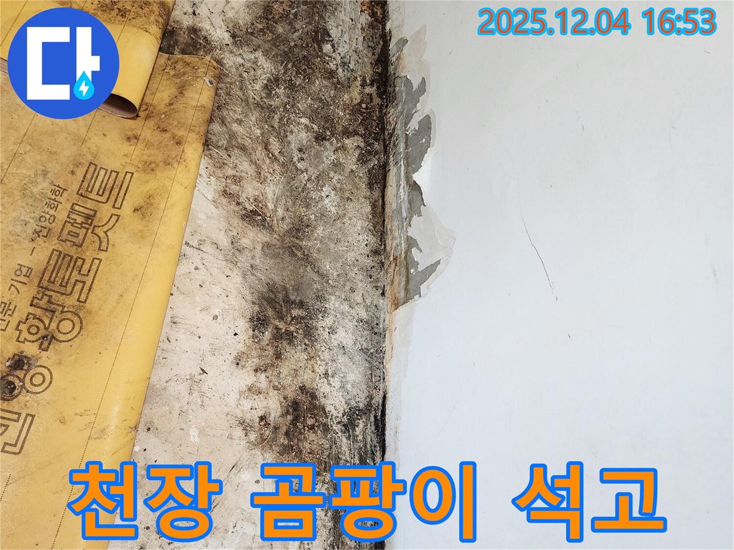 천장 곰팡이와 석고보드 손상 - 꼼꼼한 제거 및 복원 작업