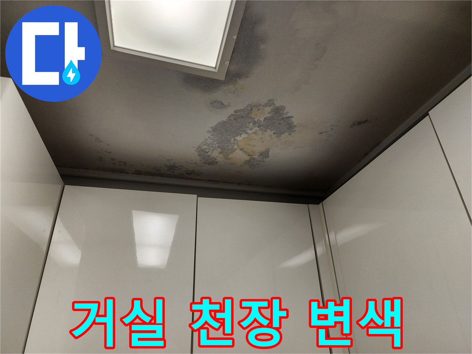 포천 일동면 거실 천장 부위의 광범위한 물자국과 변색 상태