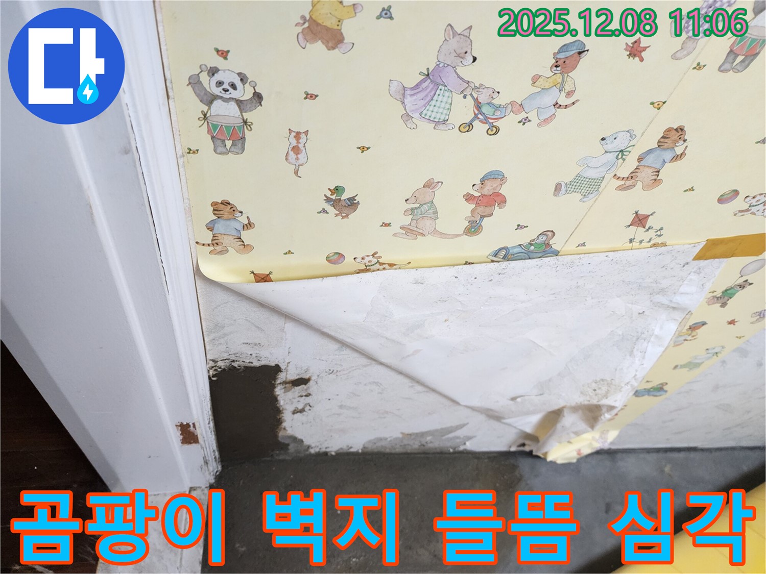 포천 영중면 거사리 누수 현장 - 곰팡이 핀 들뜬 벽지, 심각한 누수 상황