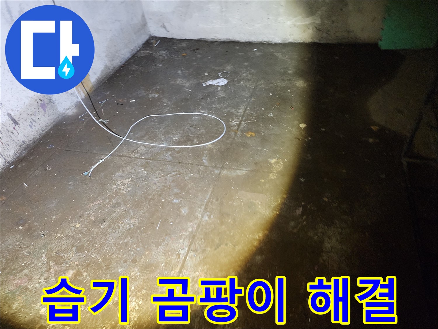 월계동 삼호아파트 지하 - 습기와 곰팡이 문제 해결, 쾌적한 공간으로 변신!