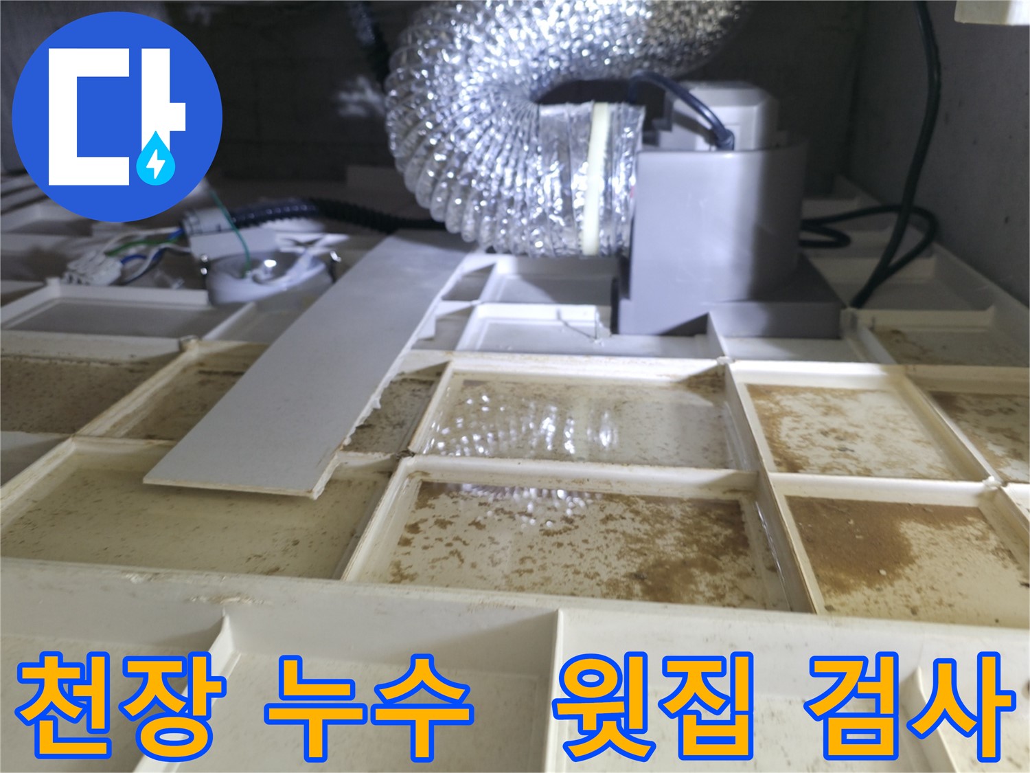 아파트 천장 누수 발생 - 윗집 누수 검사 진행 과정