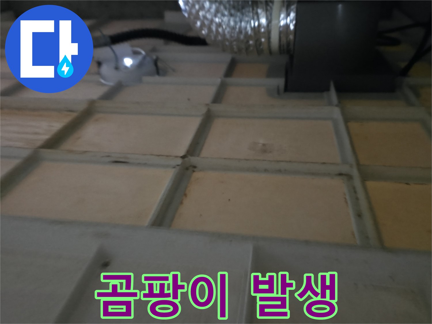 화성시 향남읍 아파트 - 텍스 제거 후 누수 확인, 원인 분석