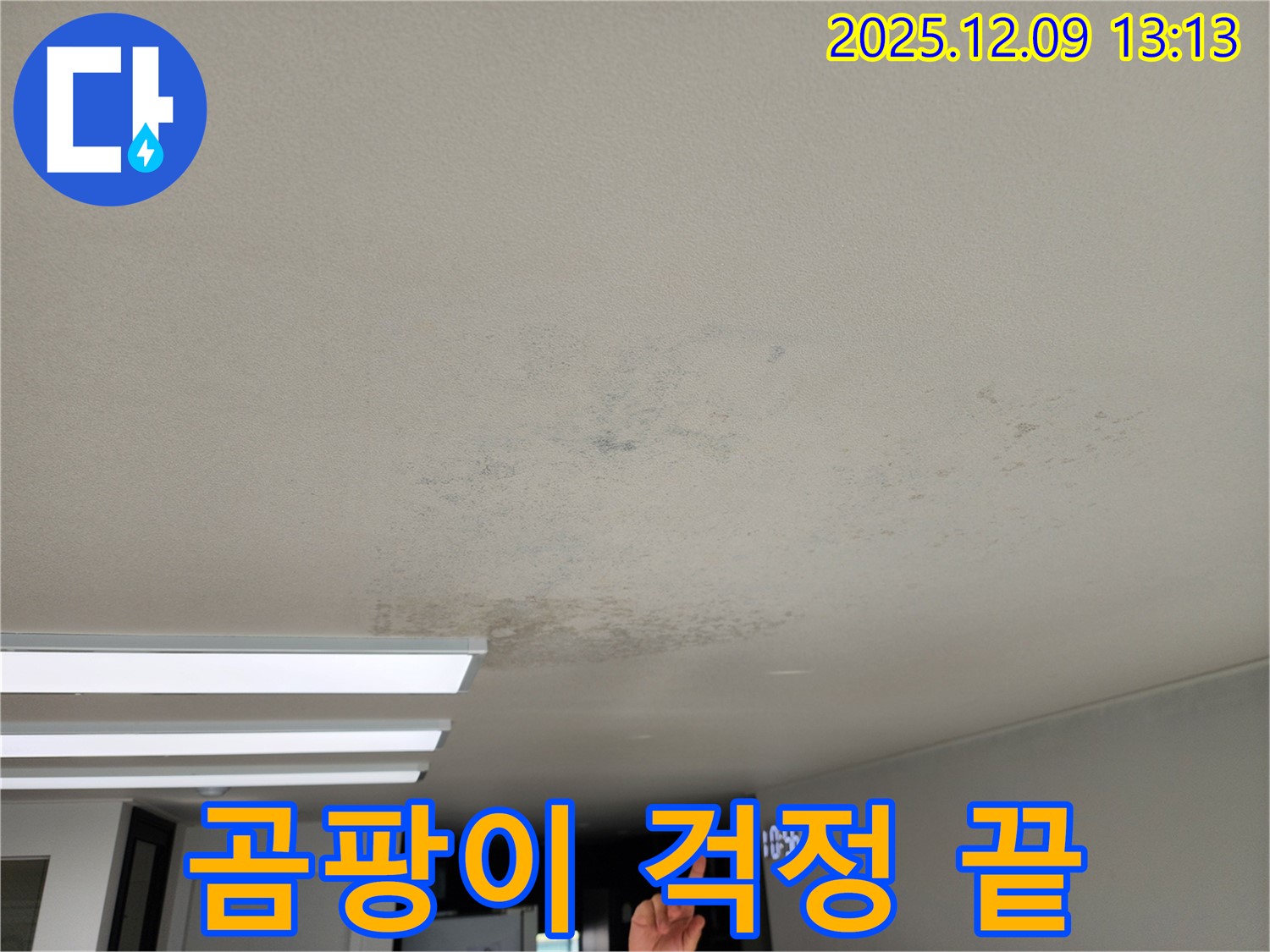 경기도 포천시 영중면 성동리 - 곰팡이, 이제 걱정 끝 - 확실한 해결 약속