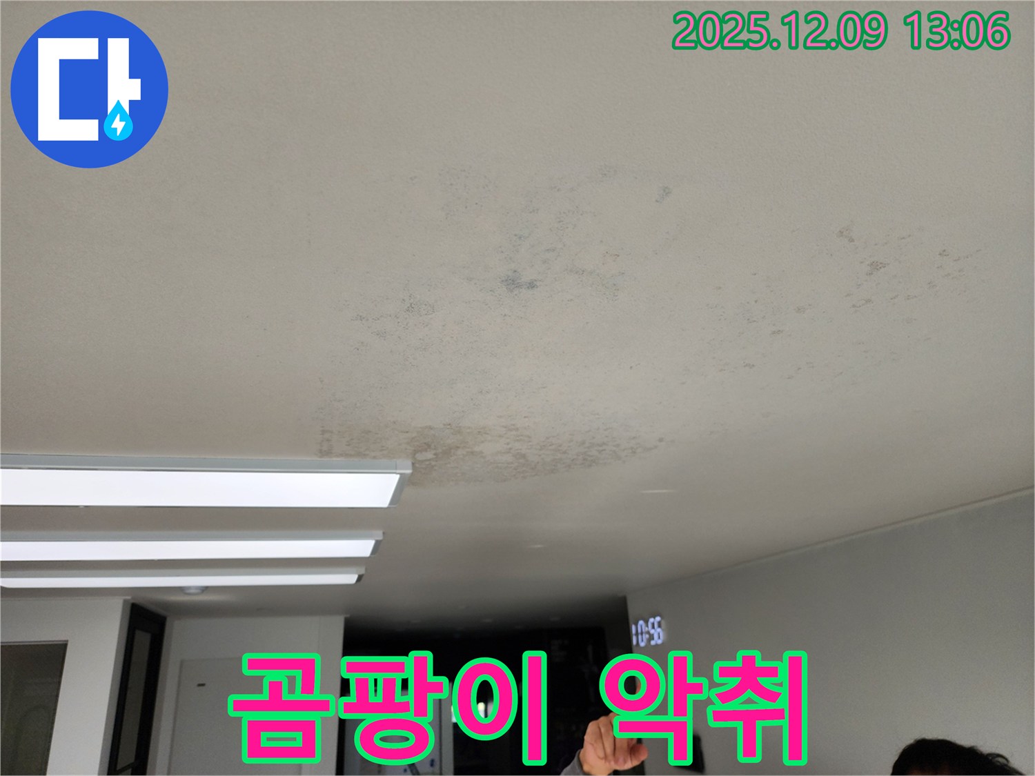 곰팡이 악취 - 포천시 영중면 누수 현장에서 곰팡이로 인한 악취 발생 가능성을 보여줍니다.