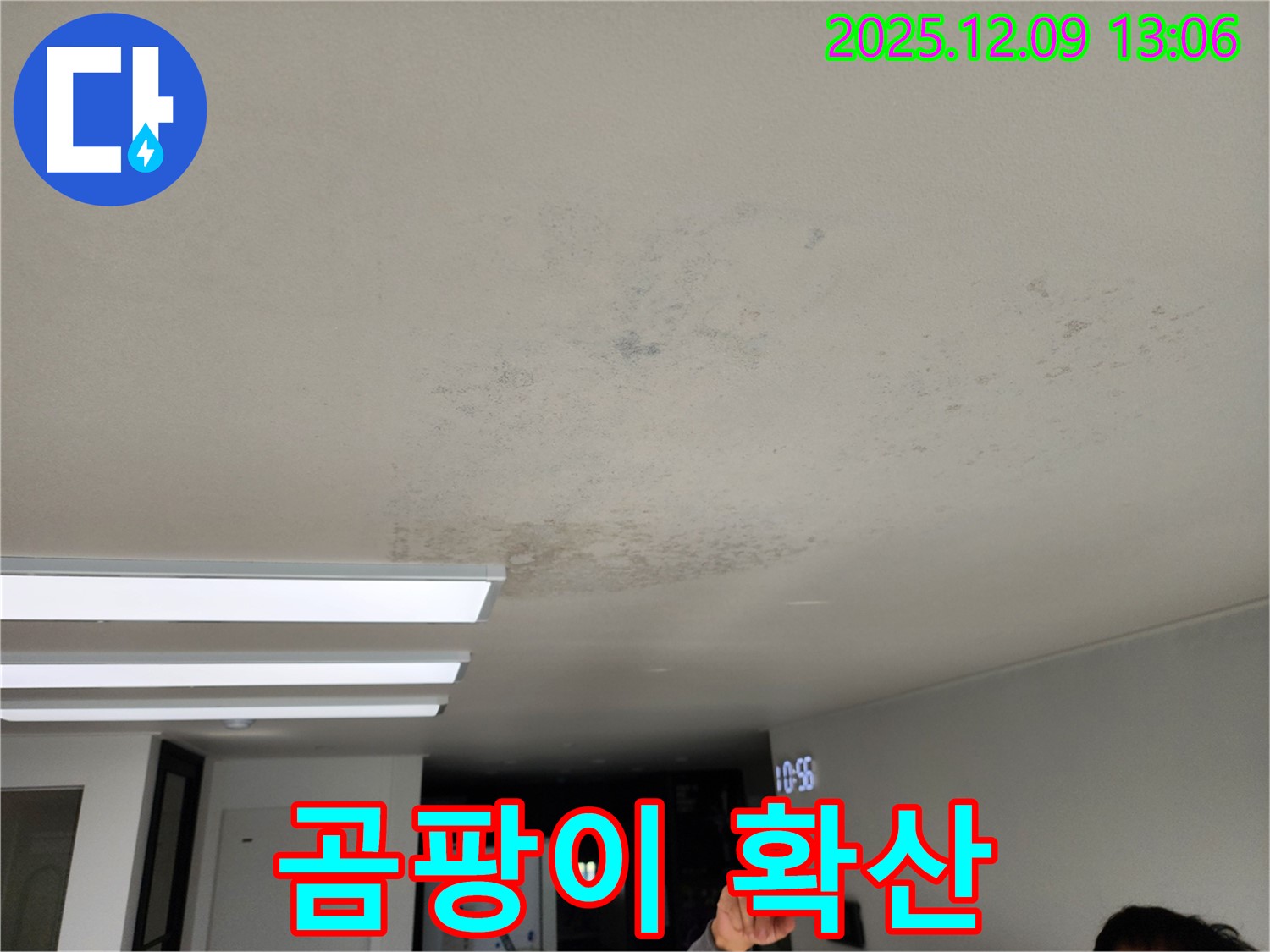 곰팡이 확산 - 성동리 누수 현장에서 곰팡이 포자가 온 집안에 퍼질 수 있음을 경고합니다.