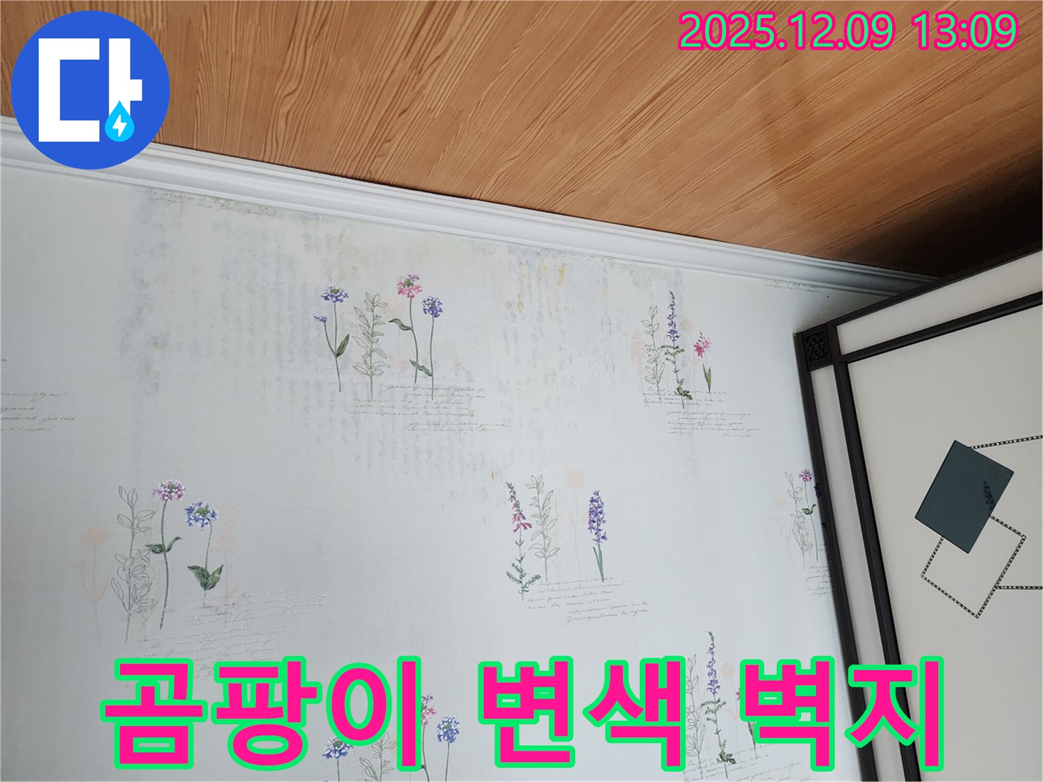 벽지의 곰팡이와 변색은 누수의 확실한 증거 - 신속한 점검으로 피해를 줄이세요.