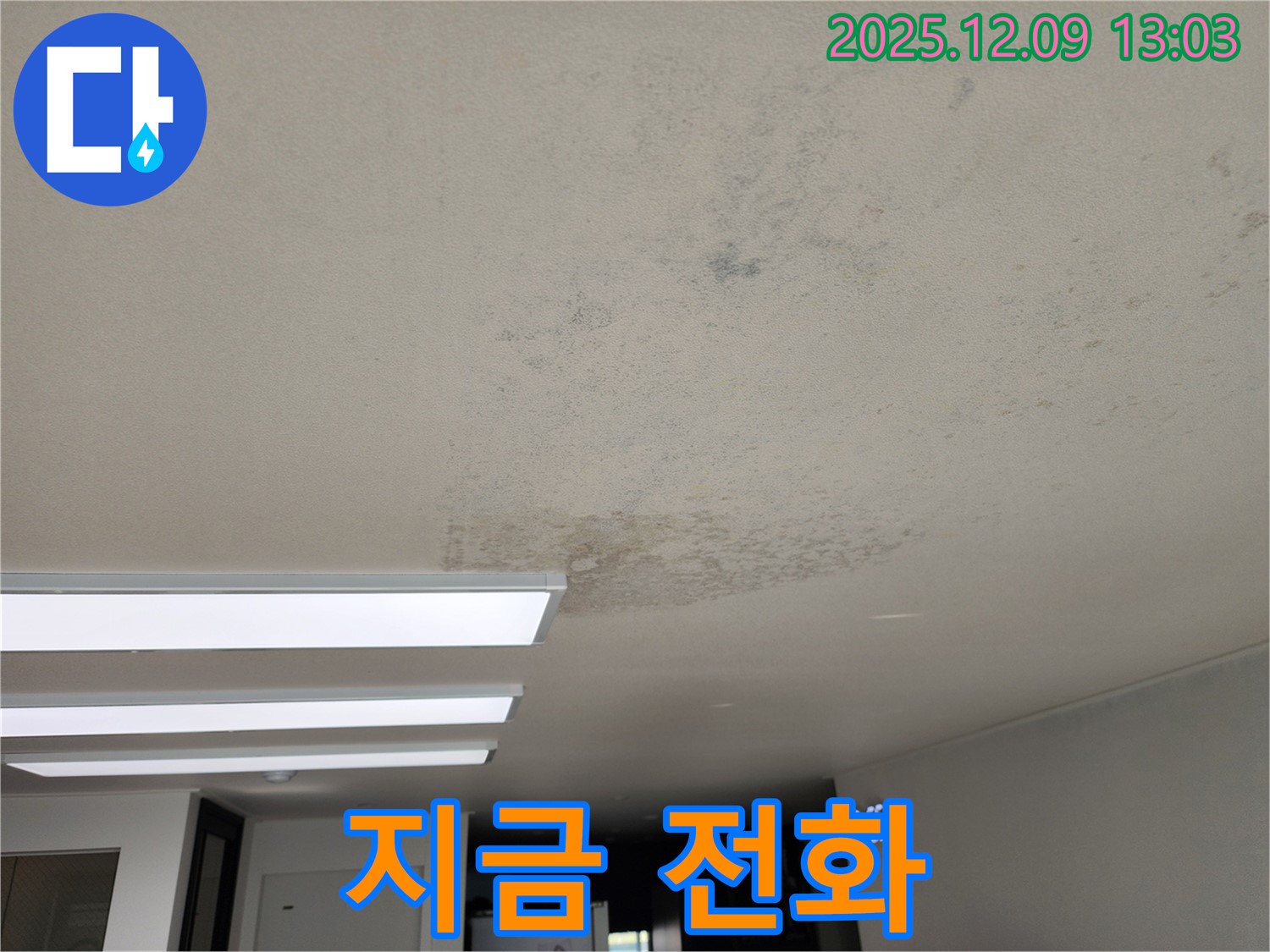 성동리 - 천장 누수 곰팡이 쾌적한 공간 되찾기 - 지금 전화