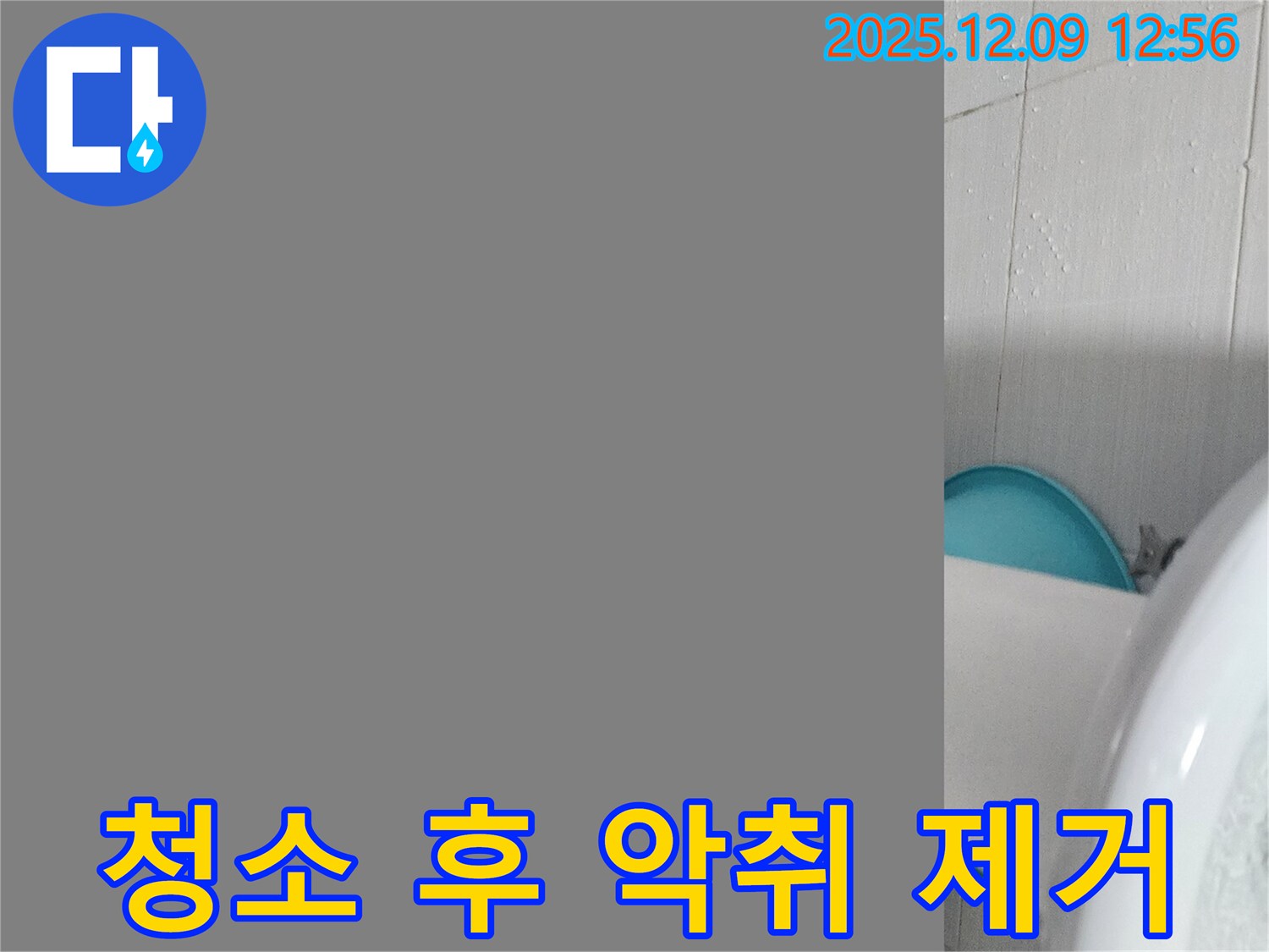영중면 성동리 세면대 하수구 청소 - 악취 제거로 쾌적한 욕실 만들기!