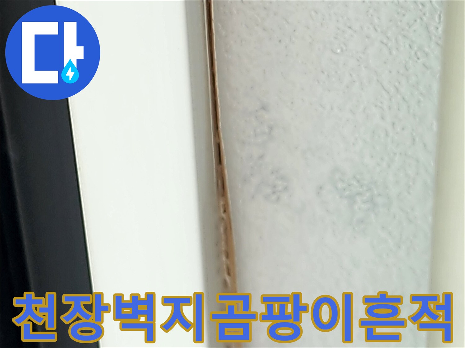 영중면-현장-천장-부분의-누수-및-곰팡이-발생