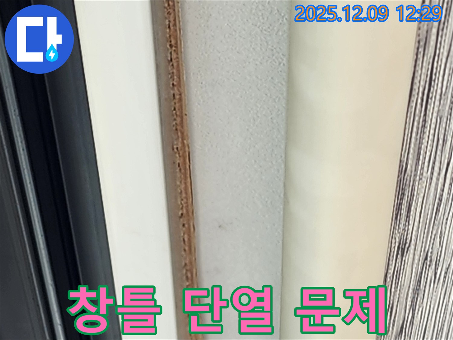 창틀 주변 곰팡이 - 단열 문제로 발생할 수 있습니다.