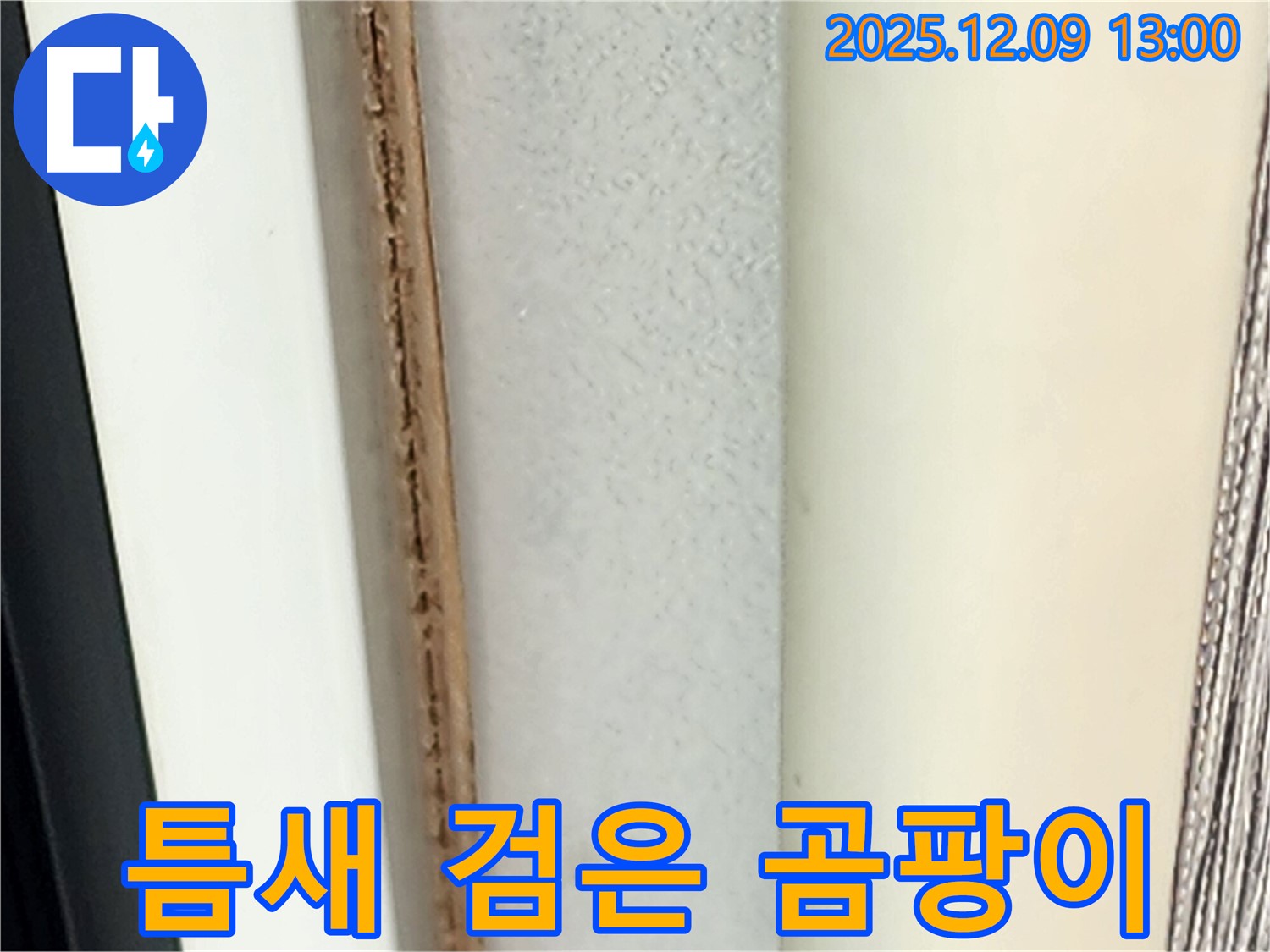 창틀 틈새 검은 곰팡이 - 심각한 오염 상태입니다.