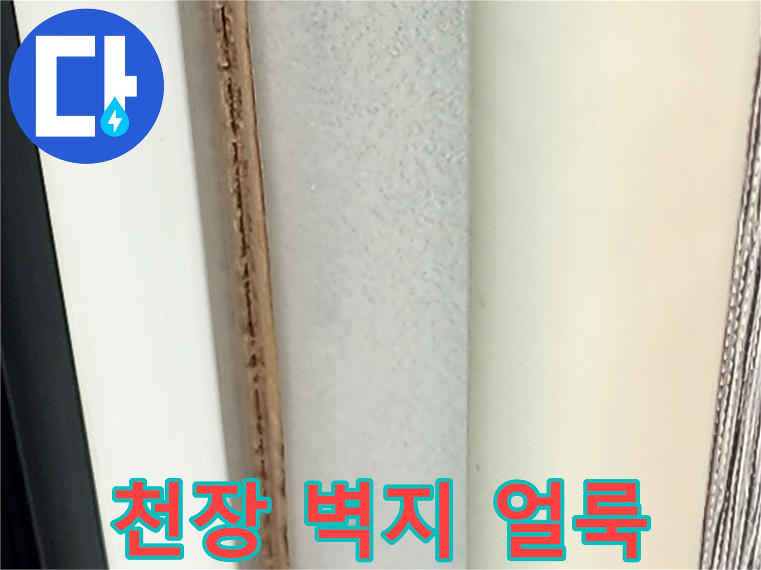 천장-벽지가-젖어-얼룩이-생긴-상태