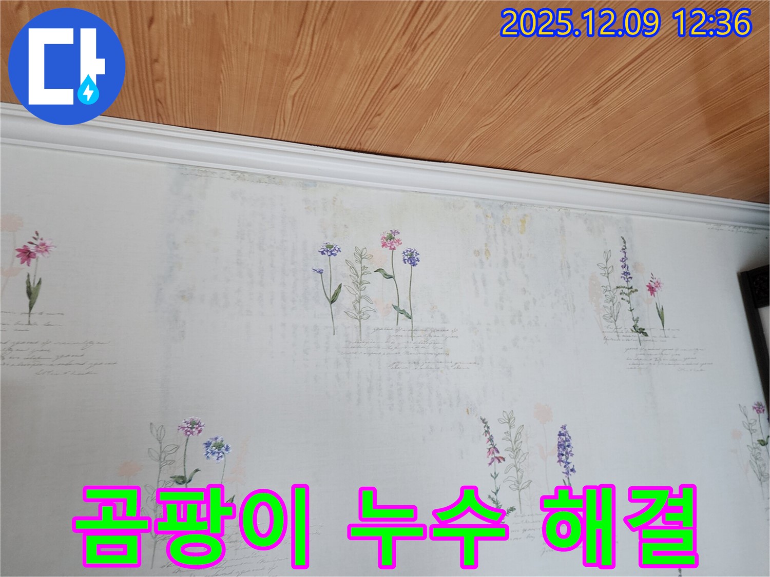 포천 누수 문제 해결 - 곰팡이 문제까지 완벽하게 해결하는 누수 공사