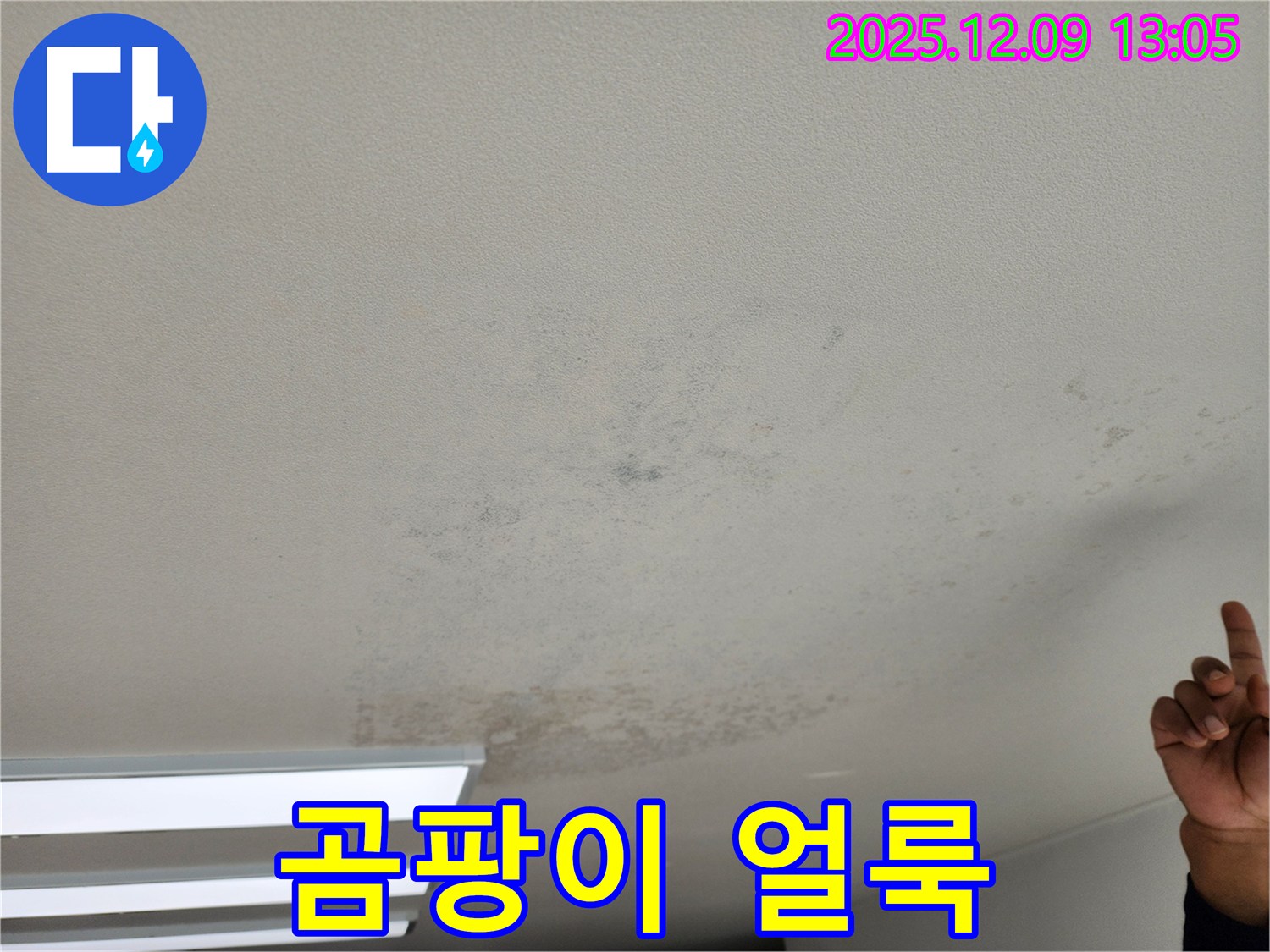 포천 성동리 천장 누수 - 곰팡이 얼룩 심각, 포천 누수 전문가에게 SOS를 요청하세요.