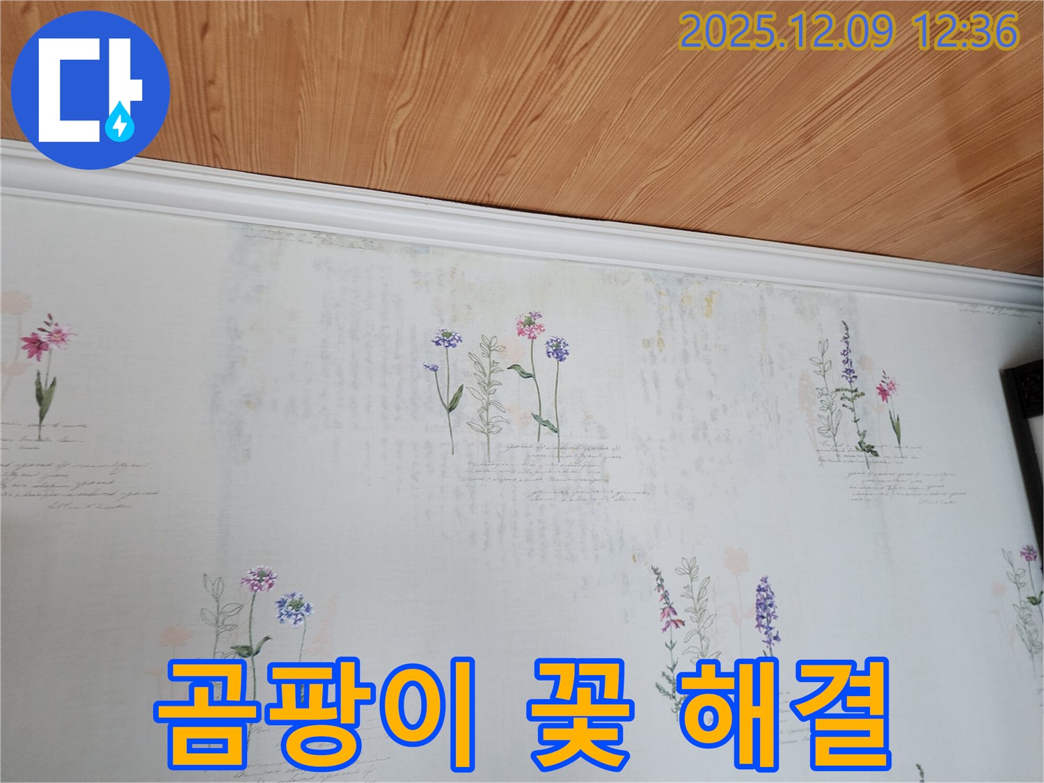 포천 영중면 누수 문제 해결 - 곰팡이 꽃밭 걱정 없이 쾌적한 환경을 만들어 드리는 완벽한 누수 공사