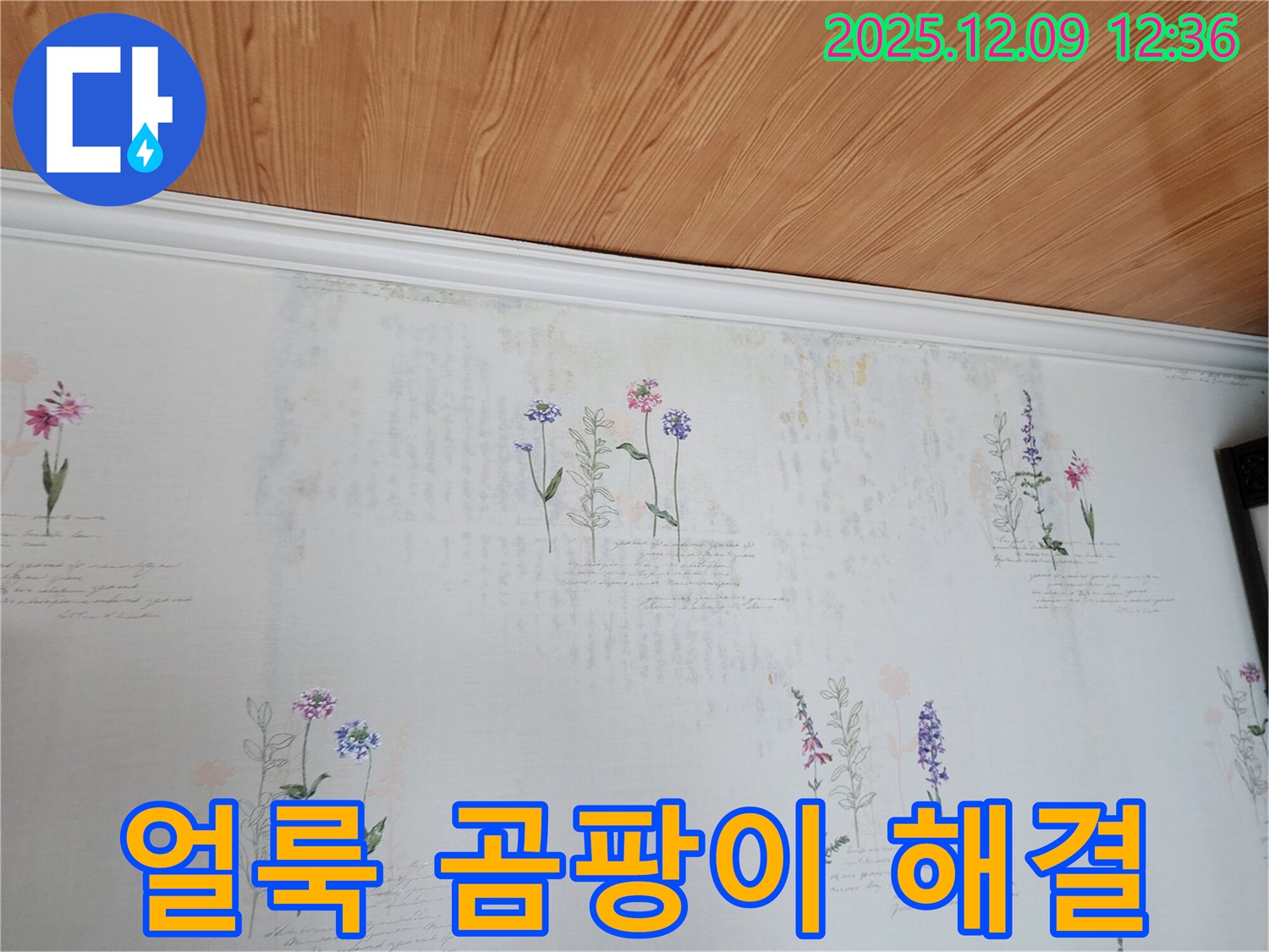 포천 영중면 누수 문제 해결 - 얼룩 곰팡이 벽지 걱정 없이 쾌적한 환경을 만들어 드리는 완벽한 누수 공사