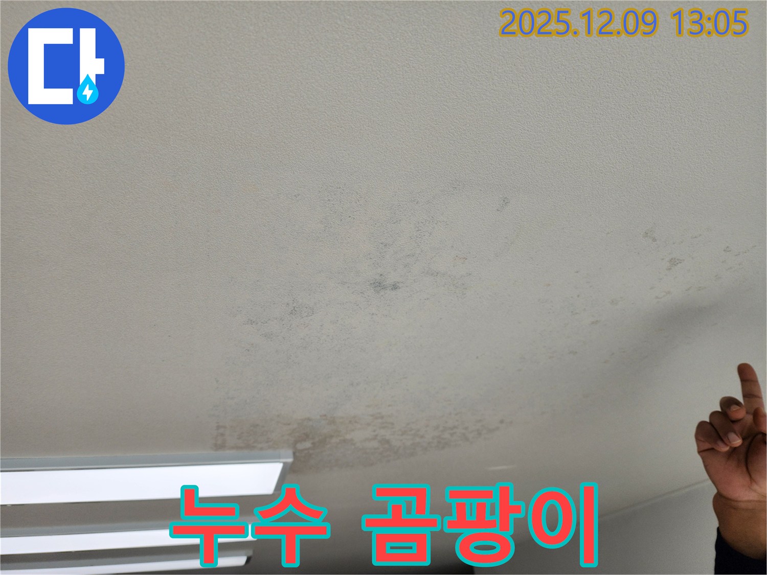 포천 영중면 누수 - 천장 누수와 곰팡이 문제 - 해결 전문가가 도와드립니다.
