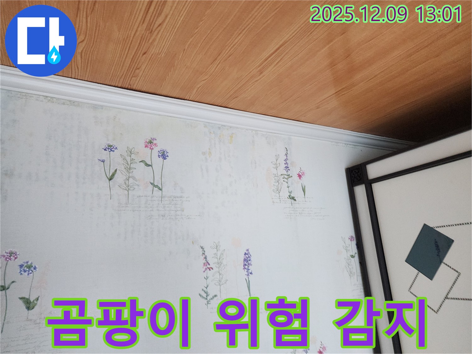 포천 영중면 누수 현장 - 곰팡이 발생 직전 위험 감지