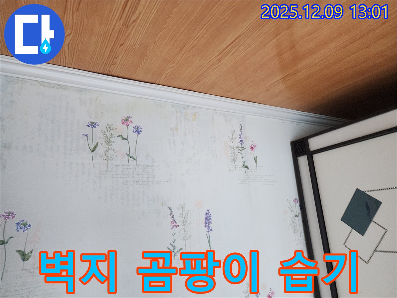 포천 영중면 성동리 누수 현장 - 벽지 곰팡이와 습기 흔적