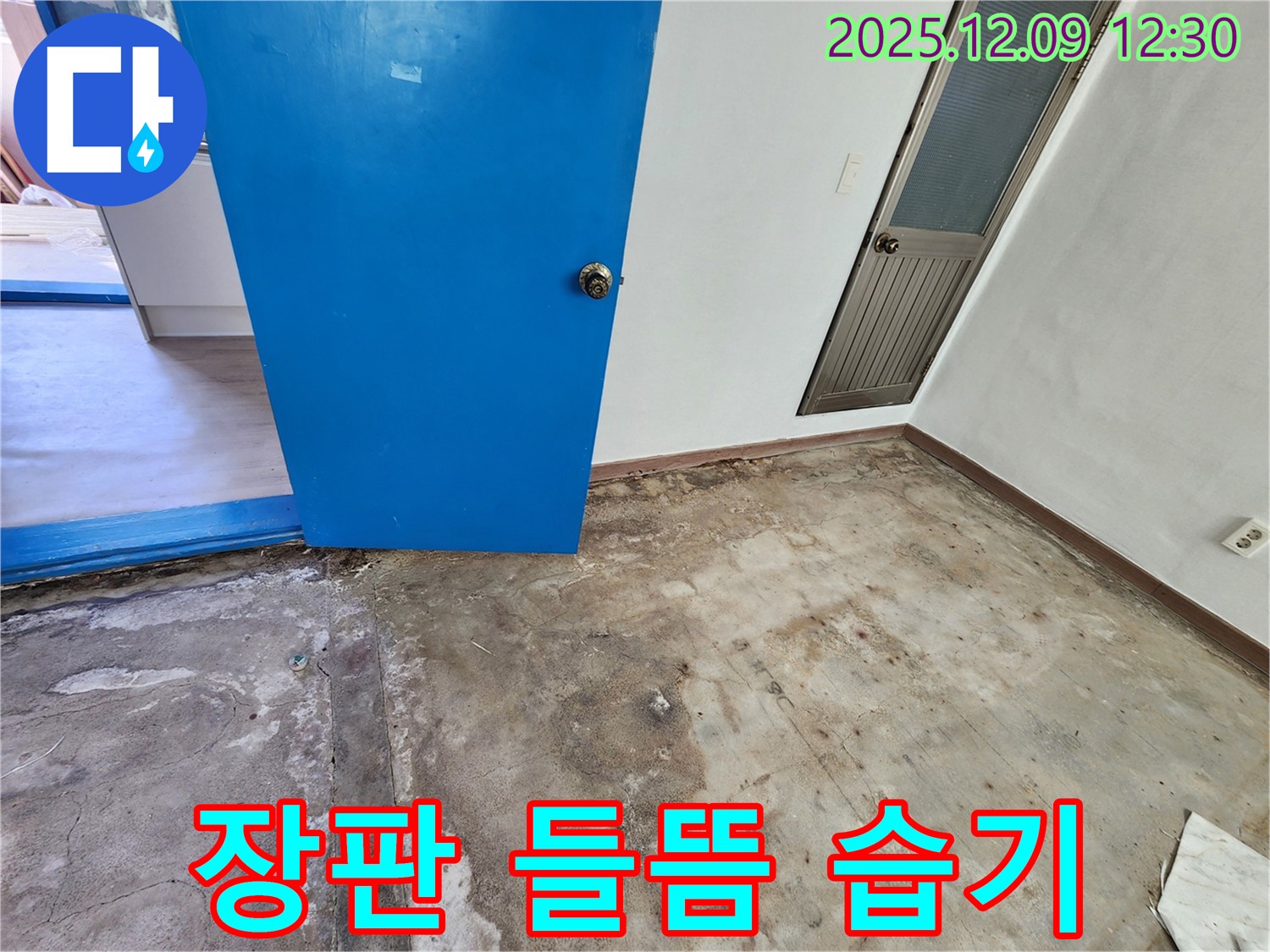 포천 영중면 장판 들뜸 누수 - 습기 문제 해결
