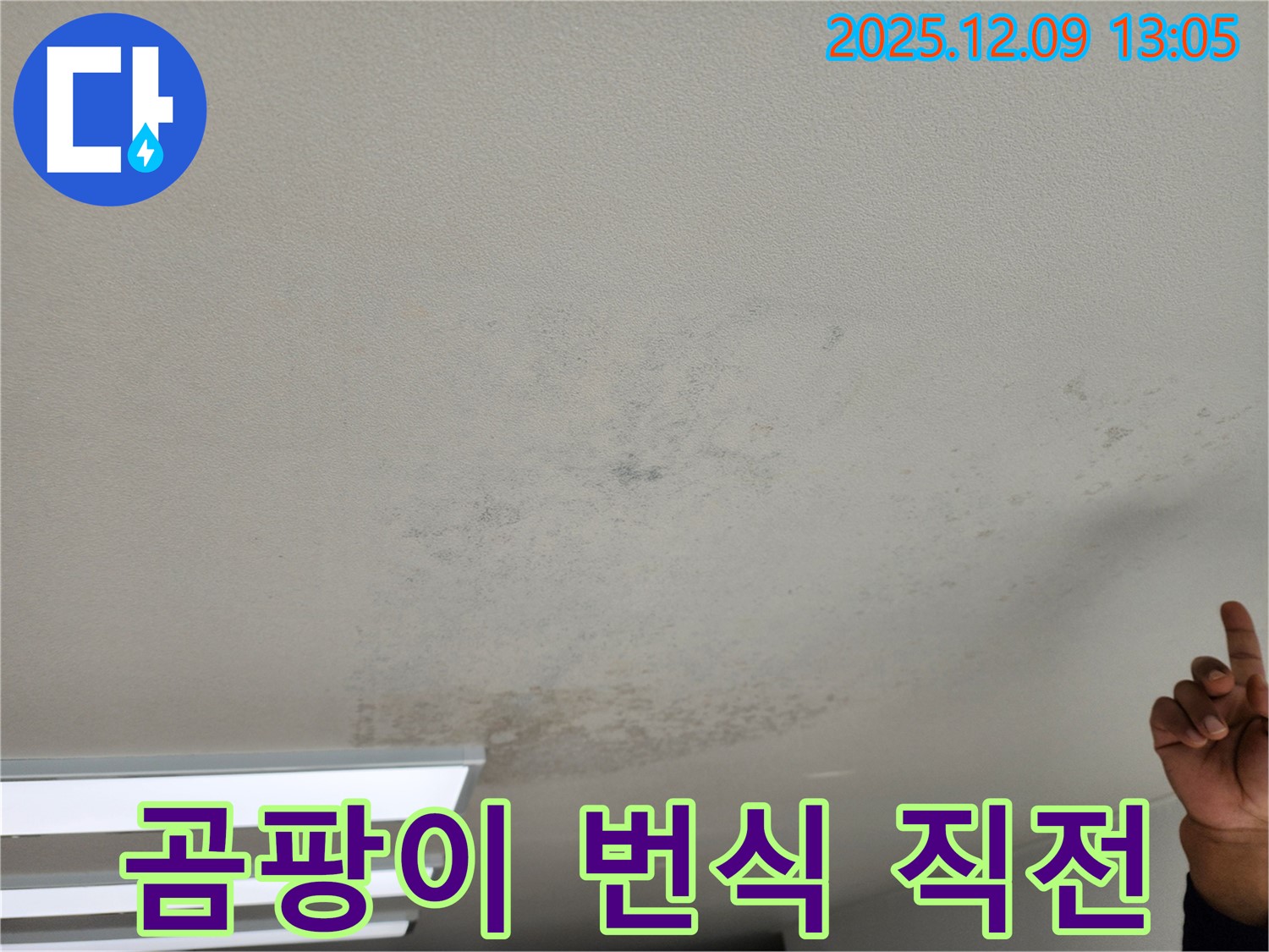 포천 영중면 천장 누수 - 곰팡이 번식 직전 - 빠른 누수 점검이 필수입니다.