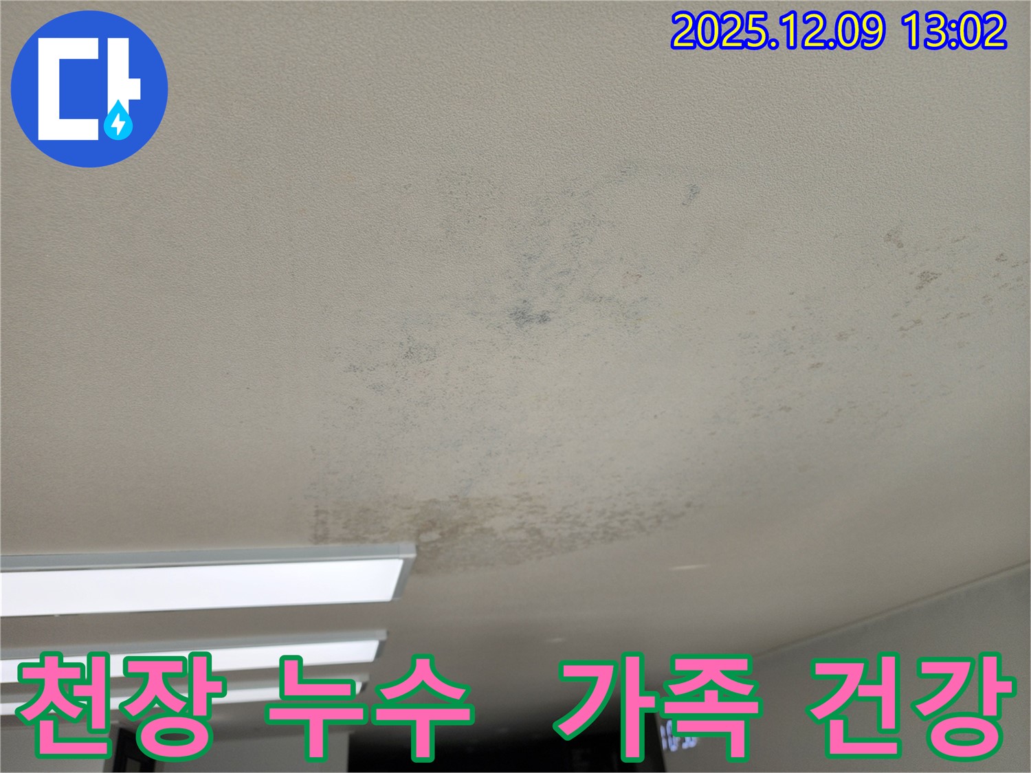 포천 영중면 천장 누수 - 곰팡이, 우리 가족 건강을 위협하는 존재입니다!