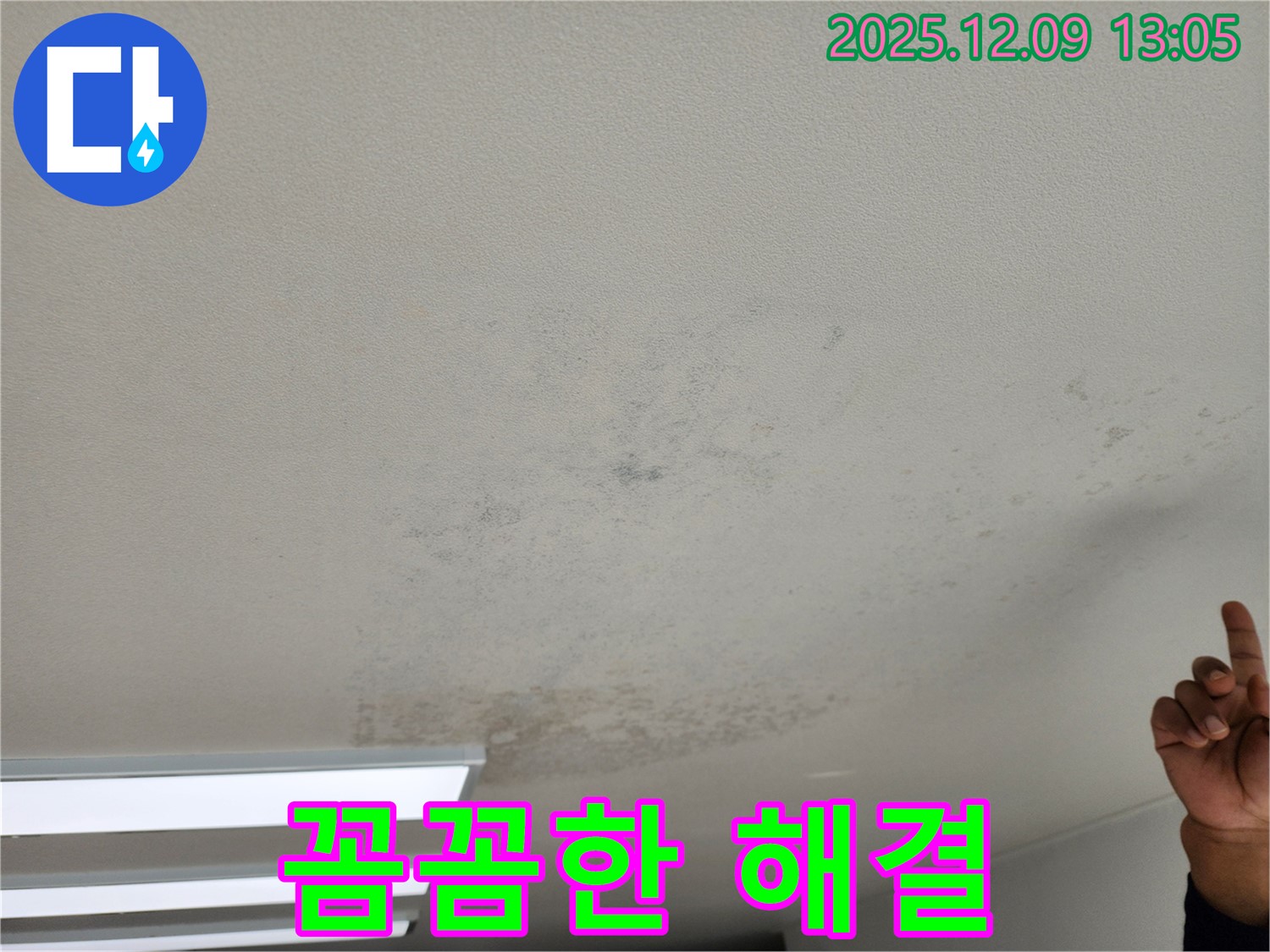 포천 영중면 천장 누수 - 곰팡이 초기, 꼼꼼한 전문가가 책임지고 해결합니다.