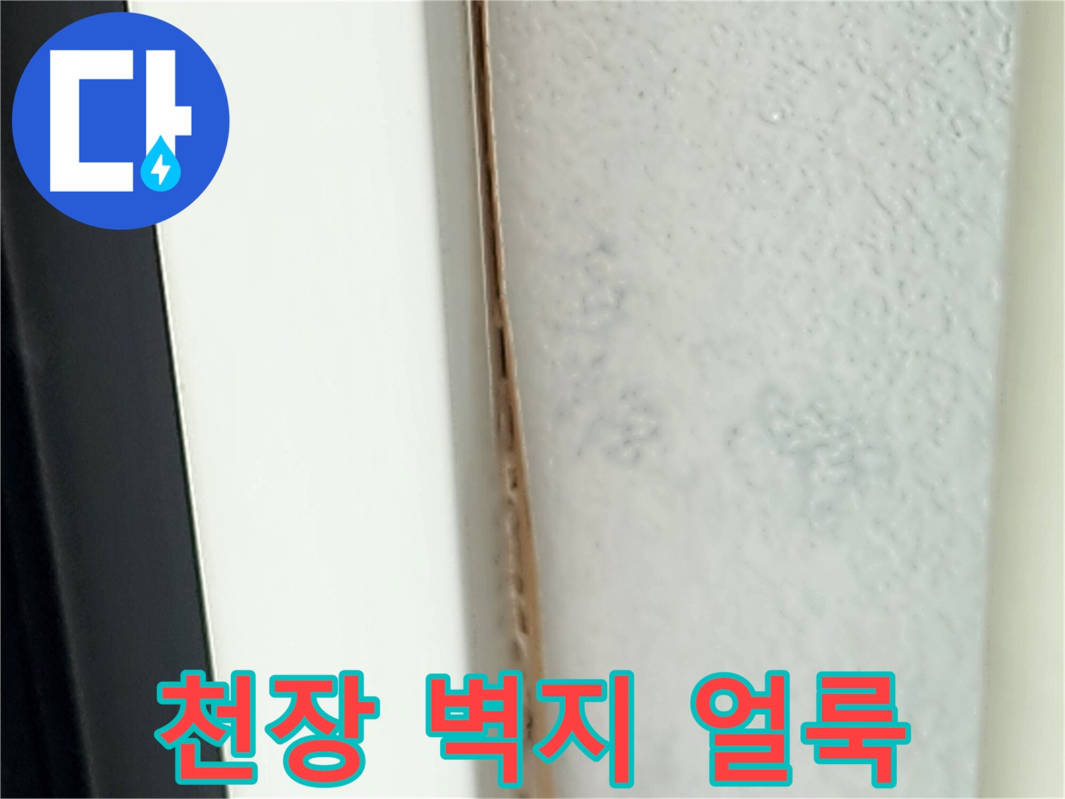 포천 영중면 현장의 천장 벽지 변색 및 곰팡이 발생 상태
