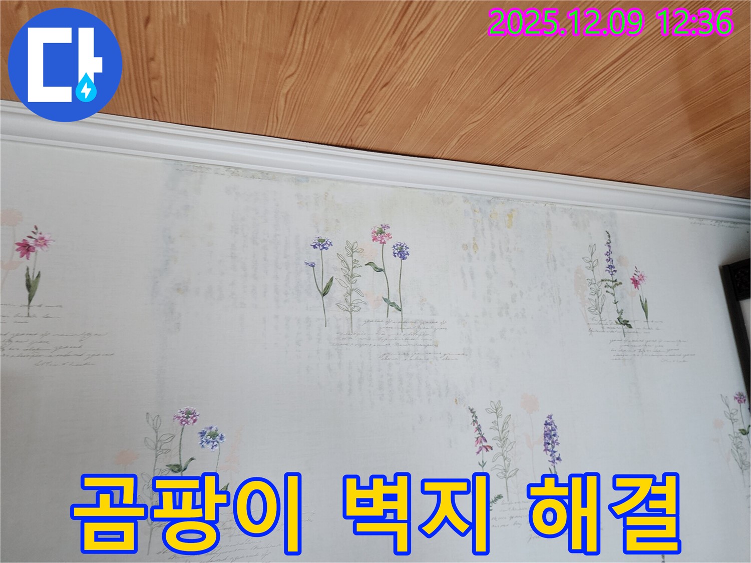 포천시 영중면 성동리 누수 현장 - 곰팡이 벽지를 해결하고 쾌적함을 되찾는 누수탐지 및 공사 과정