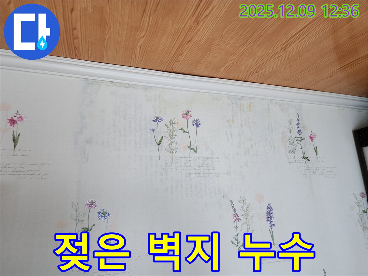 포천시 영중면 성동리 누수 현장 - 젖은 벽지와 곰팡이 문제를 해결하는 누수탐지 및 공사 과정