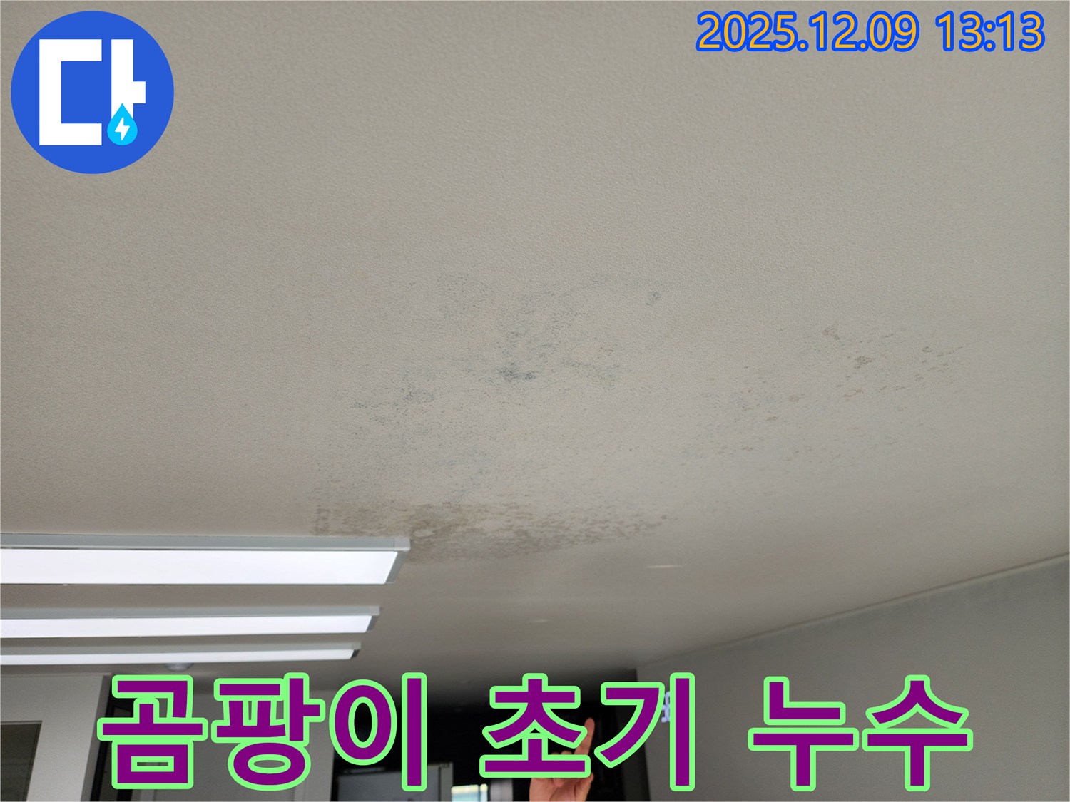 포천시 영중면 성동리 - 천장 곰팡이 발생 초기 누수 현장