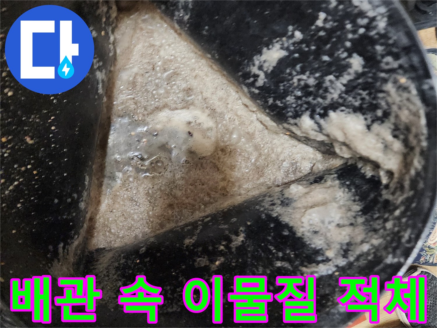 검은색 양동이에 담긴 배관 내부의 기름 슬러지와 오물 상태