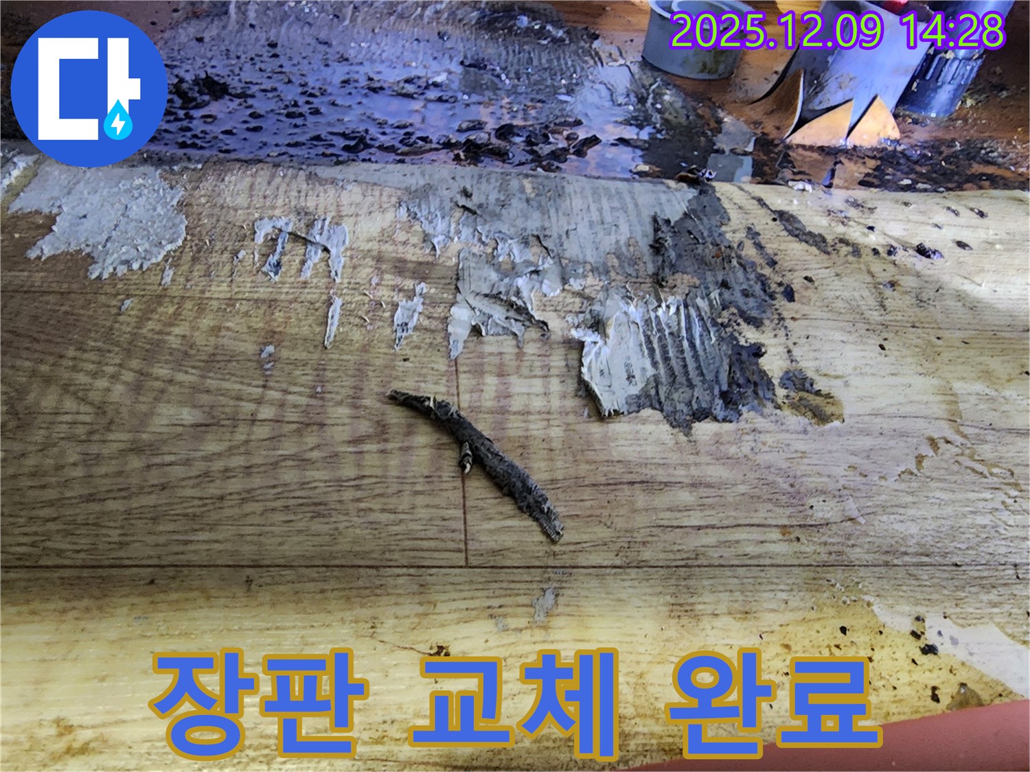 금주리 누수 해결 - 젖은 장판 제거 후 깨끗하게 교체 완료
