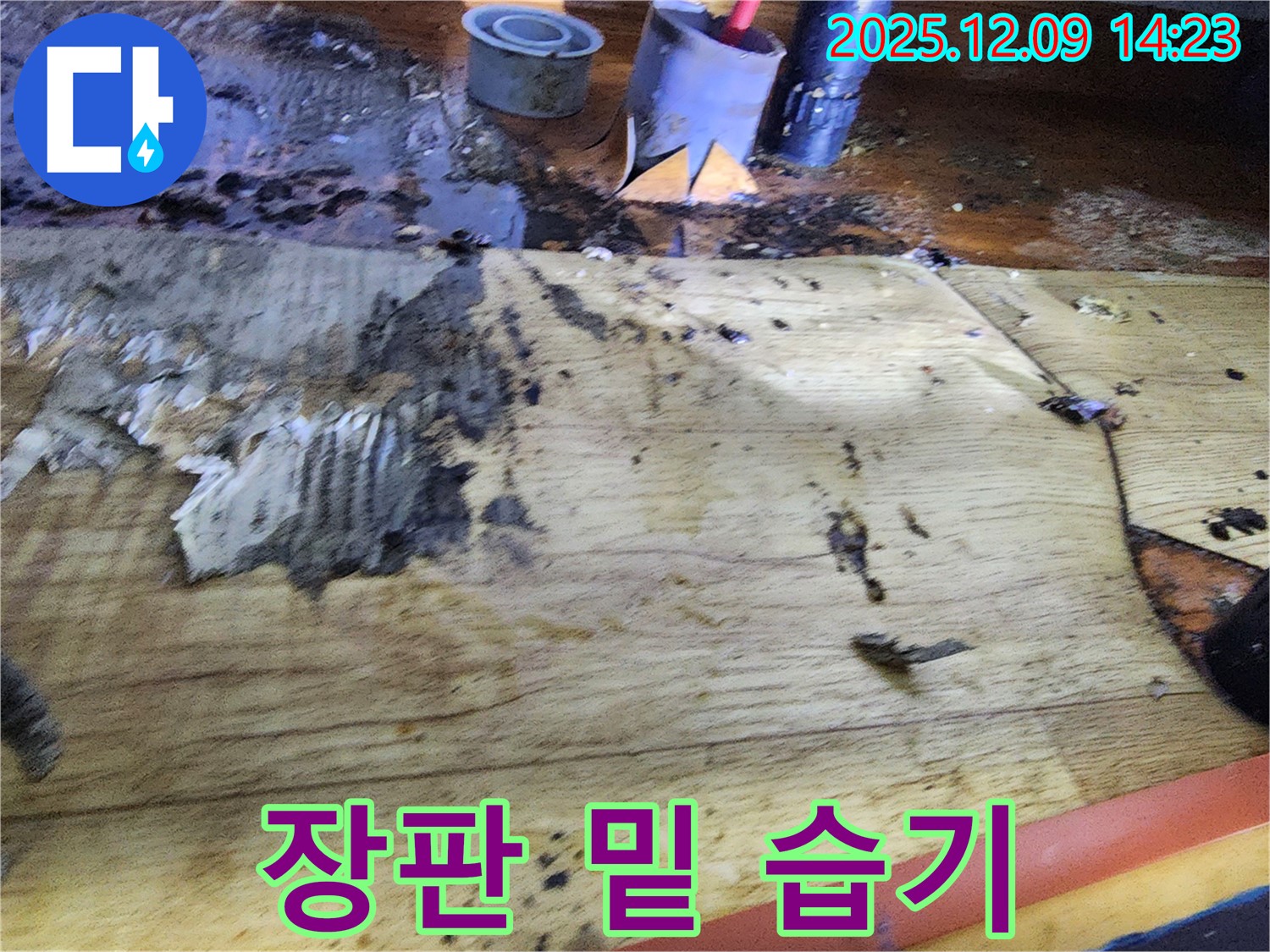 장판 밑 습기 - 누수로 인해 습기가 가득 찬 장판 밑 모습입니다.