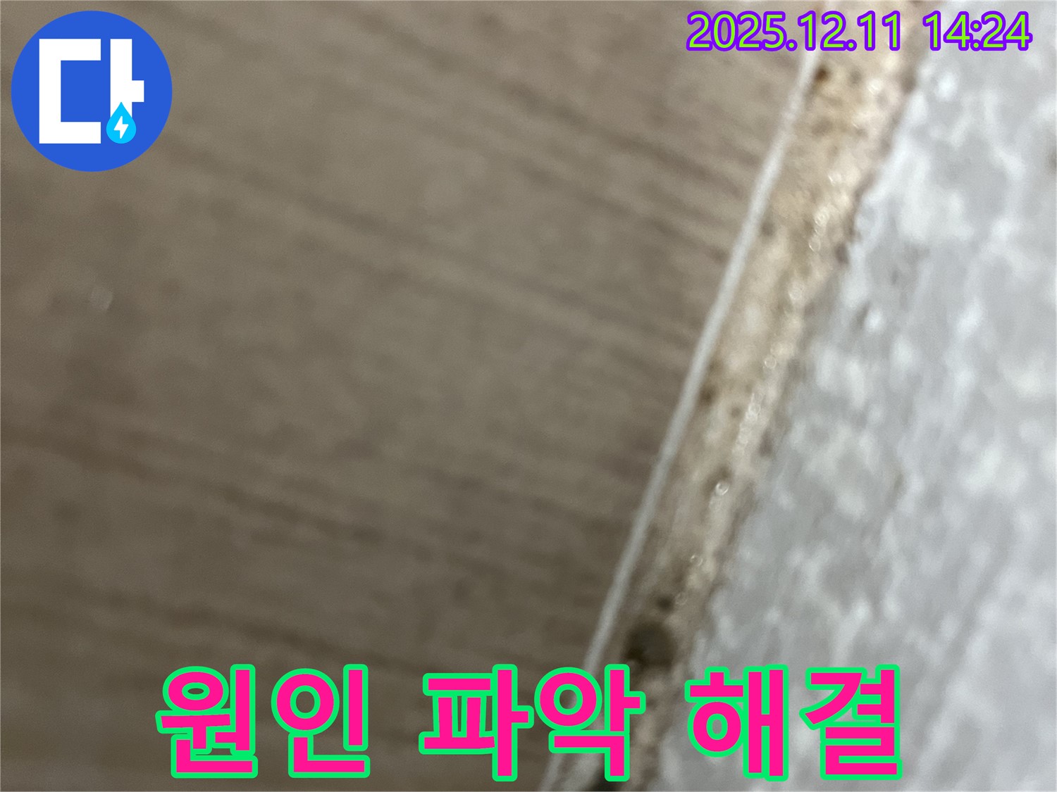 성산2동 누수탐지 - 곰팡이 발생 원인 파악 후 맞춤 해결책 제시