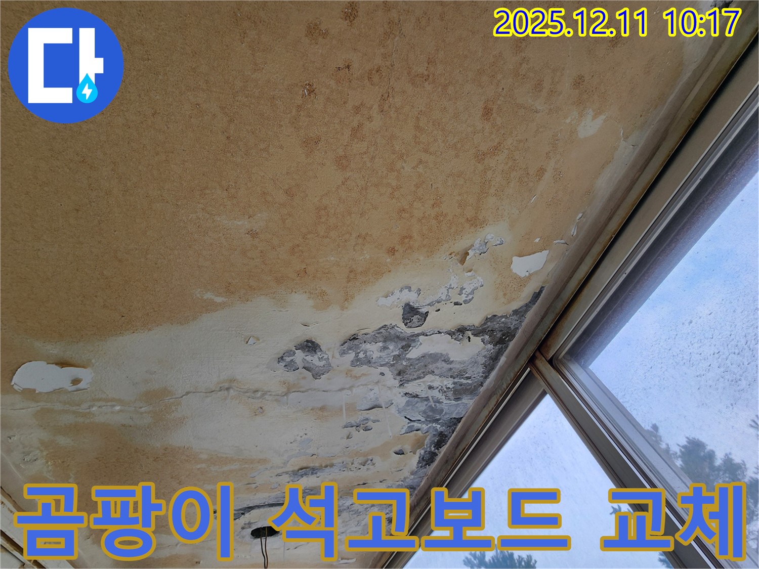 곰팡이 핀 천장 - 석고보드 교체 필수