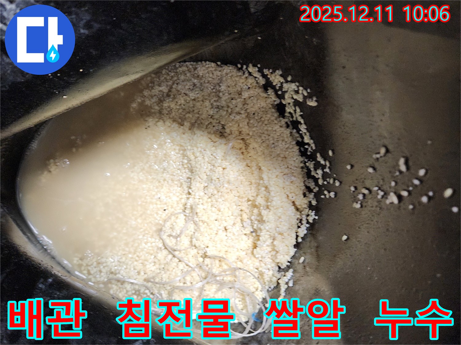 배관 속 하얀 침전물과 쌀알 - 배관 속에 하얀 침전물과 쌀알 모양의 이물질이 섞여 누수를 유발하는 모습입니다.