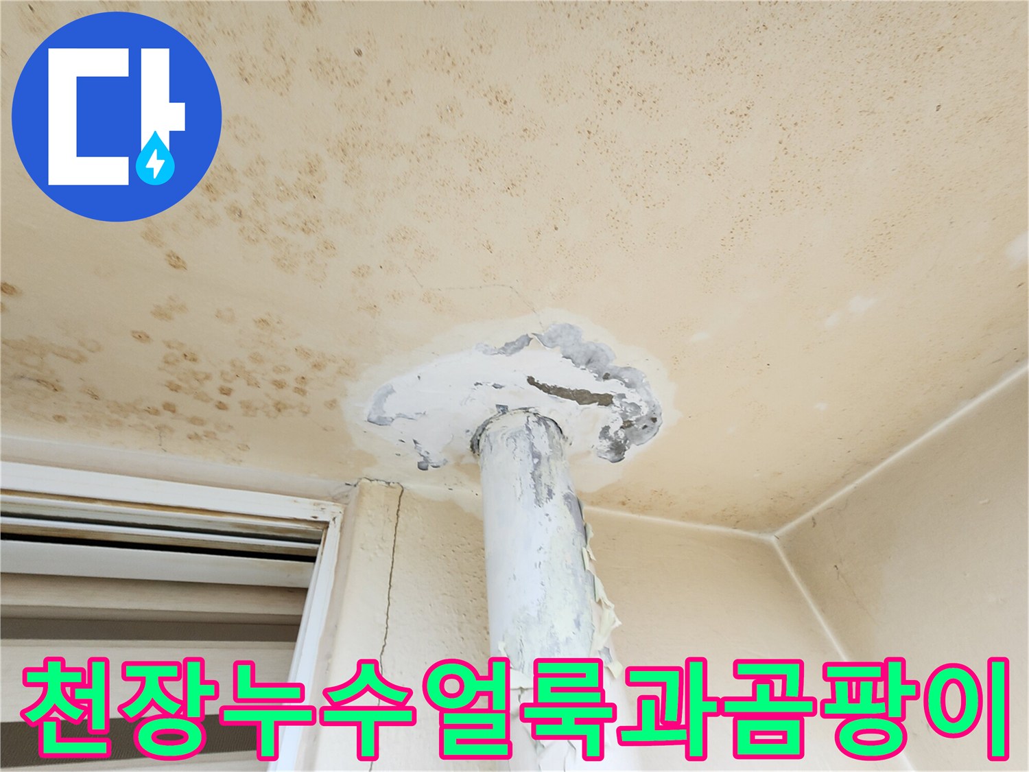 베란다 천장 부근의-심한 변색과 곰팡이 발생 상태