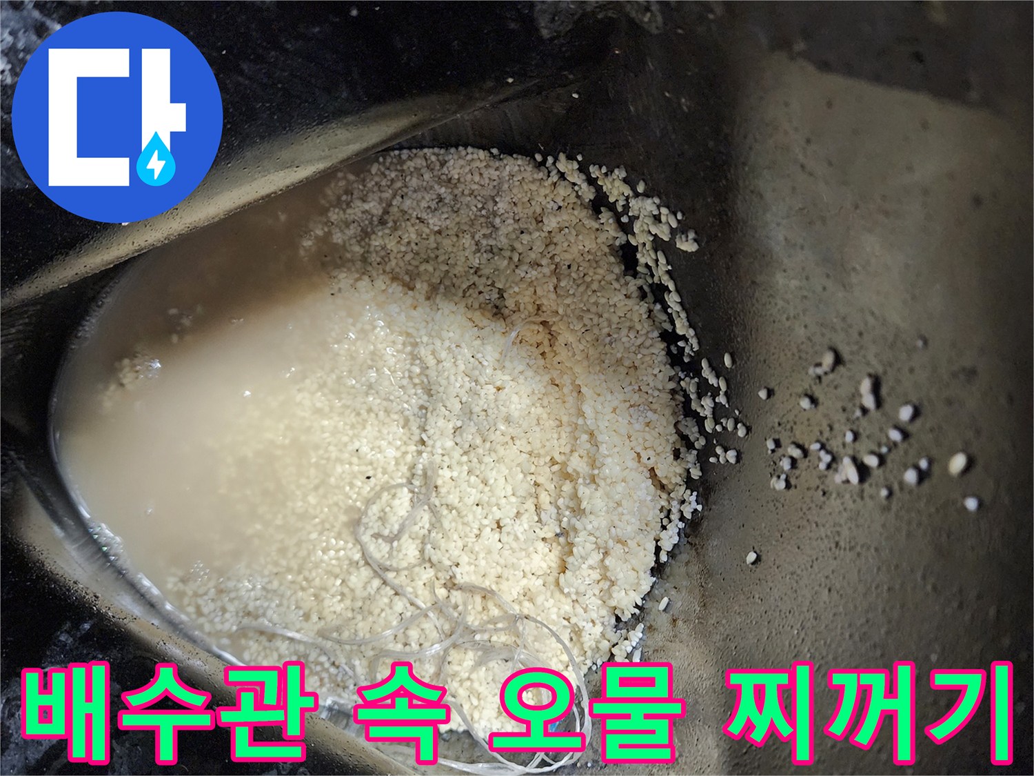 싱크대-배수관-내부에서-추출된-탁한-오수와-이물질-덩어리