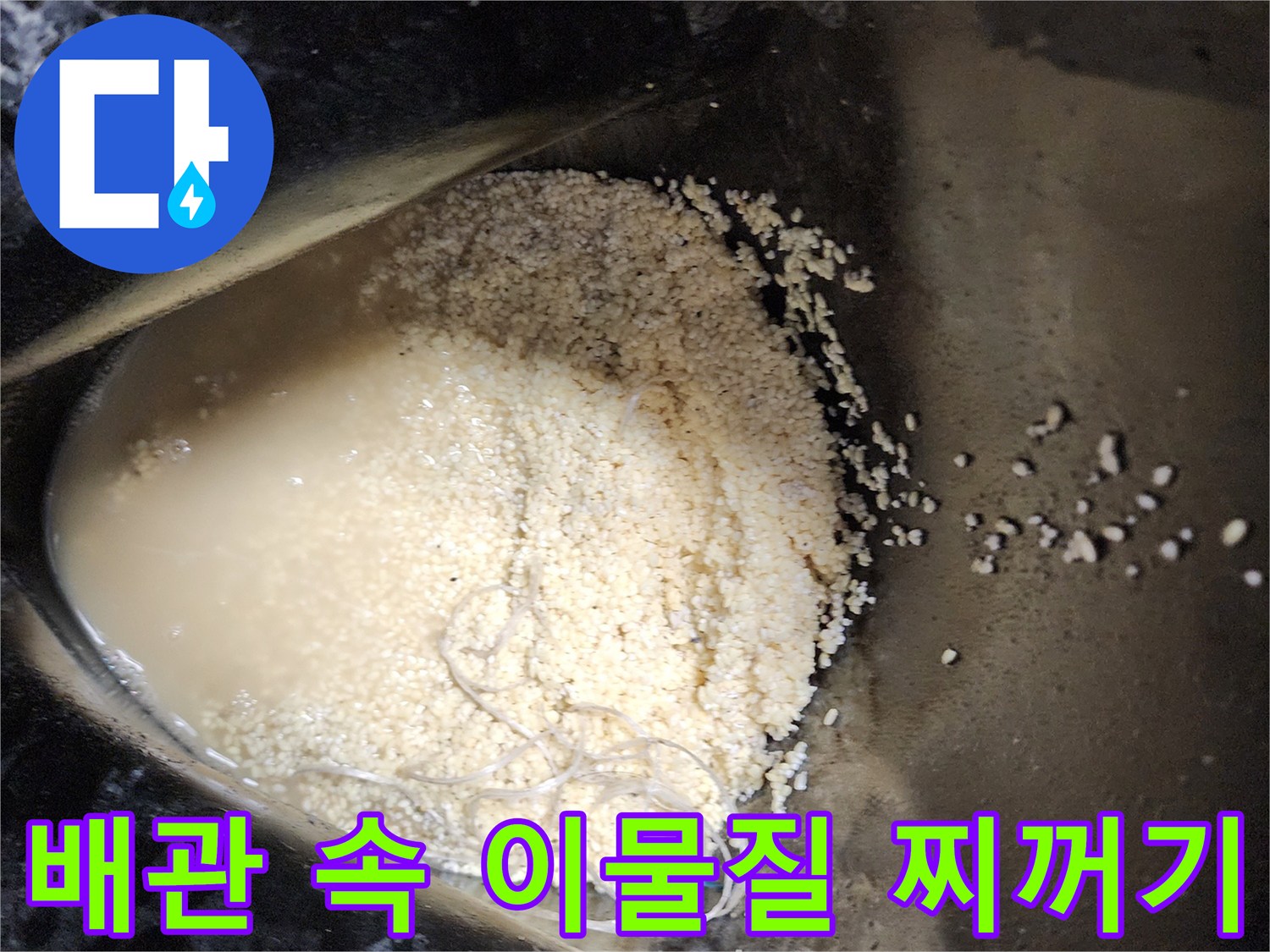 싱크대-배수관에서-추출된-탁한-오수와-이물질-덩어리