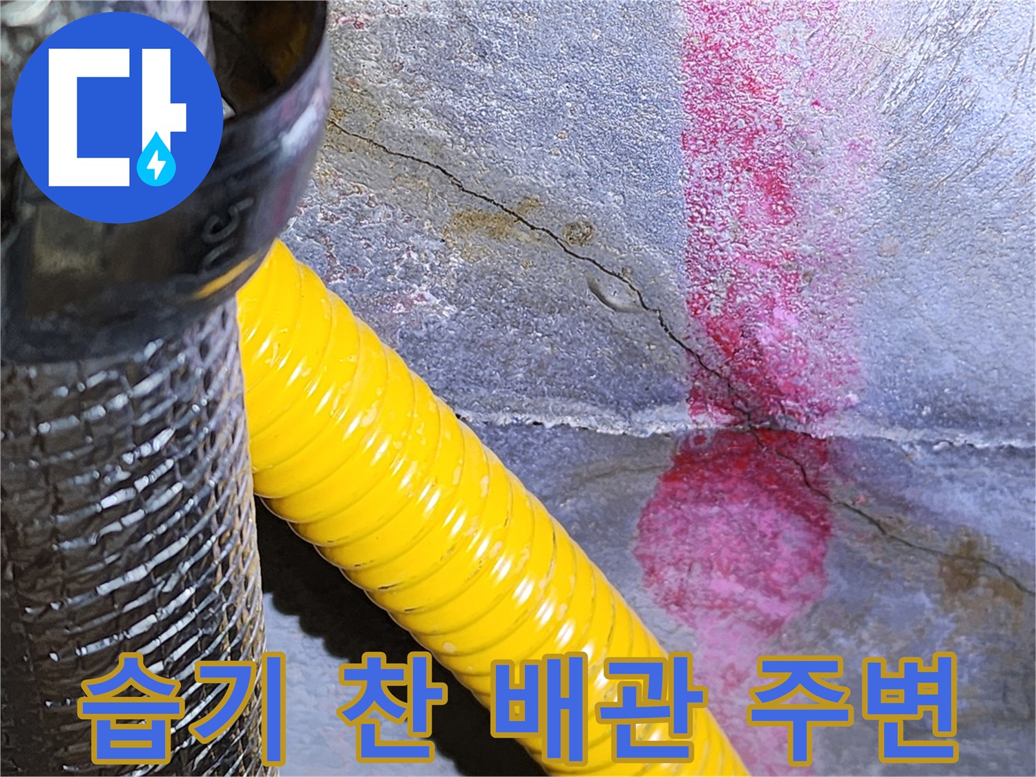 노란색 배관과 습기가 머문 벽면 균열부