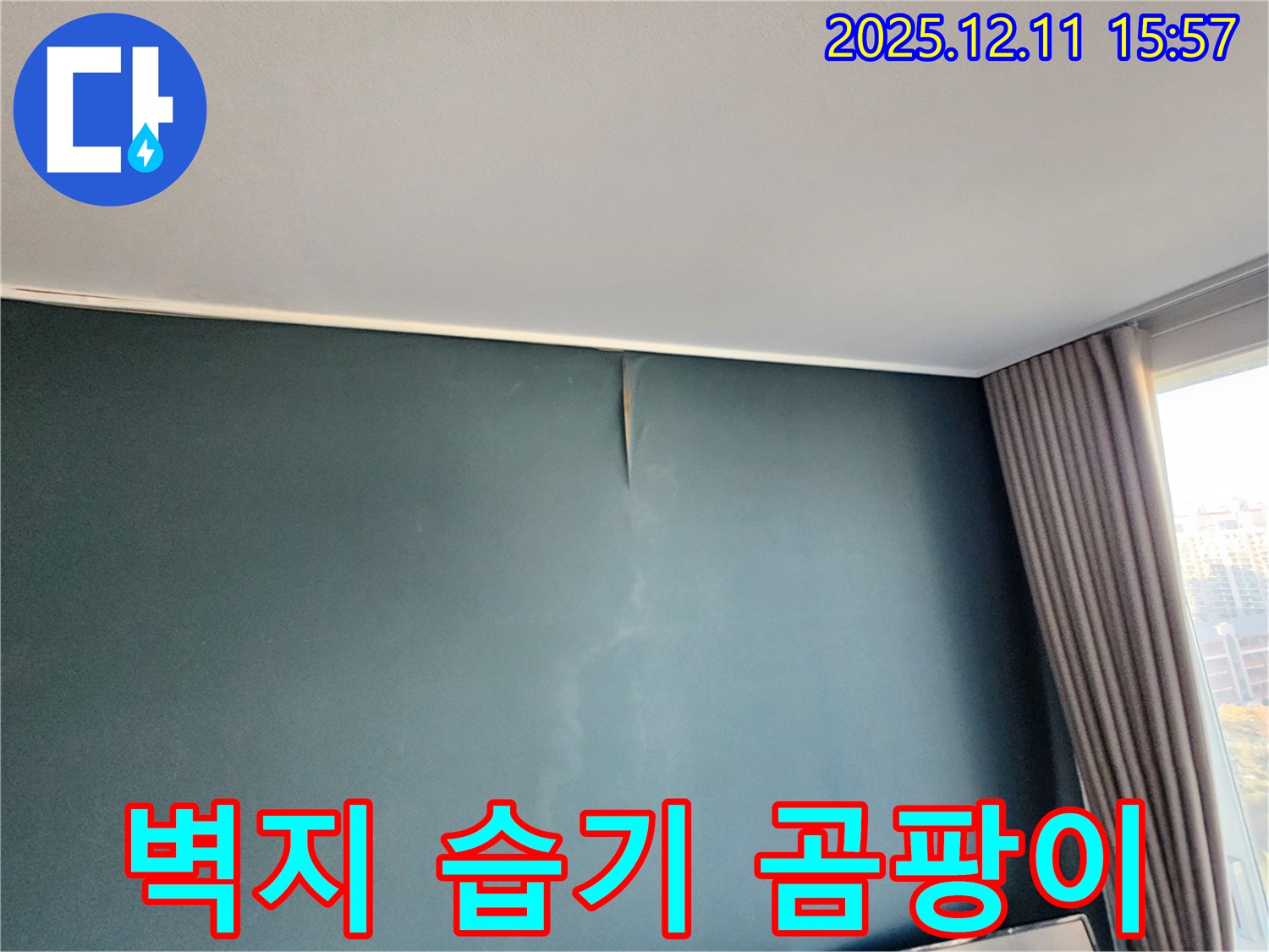 벽지 손상 - 습기 - 곰팡이 - 포천 누수 전문가의 종합 해결