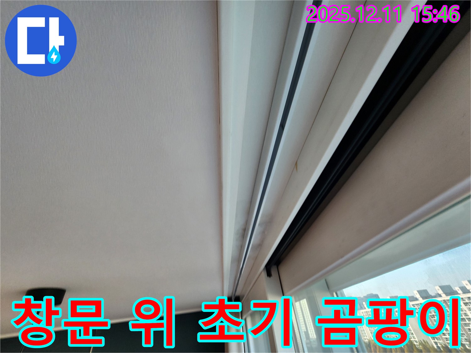 영중면 남궁리 창문 위 아주 초기 검은 곰팡이 - 빠른 조치로 누수 확산을 막자