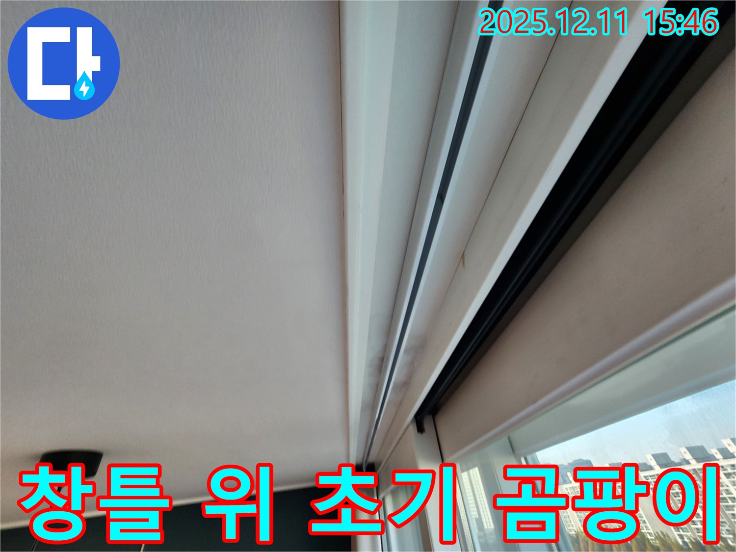 포천 영중면 양지말 창틀 위 아주 초기 곰팡이 - 완벽 해결을 약속드립니다