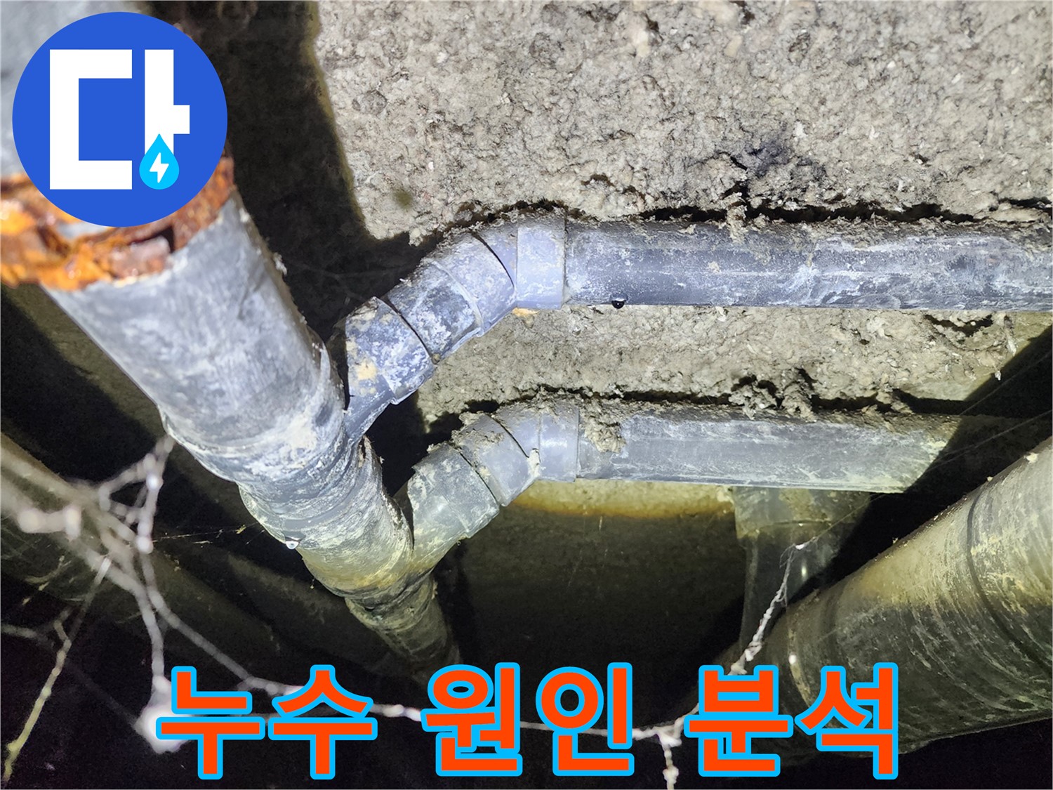 보문동 누수탐지 - 아남아파트 지하실 천장 누수 원인 상세 분석